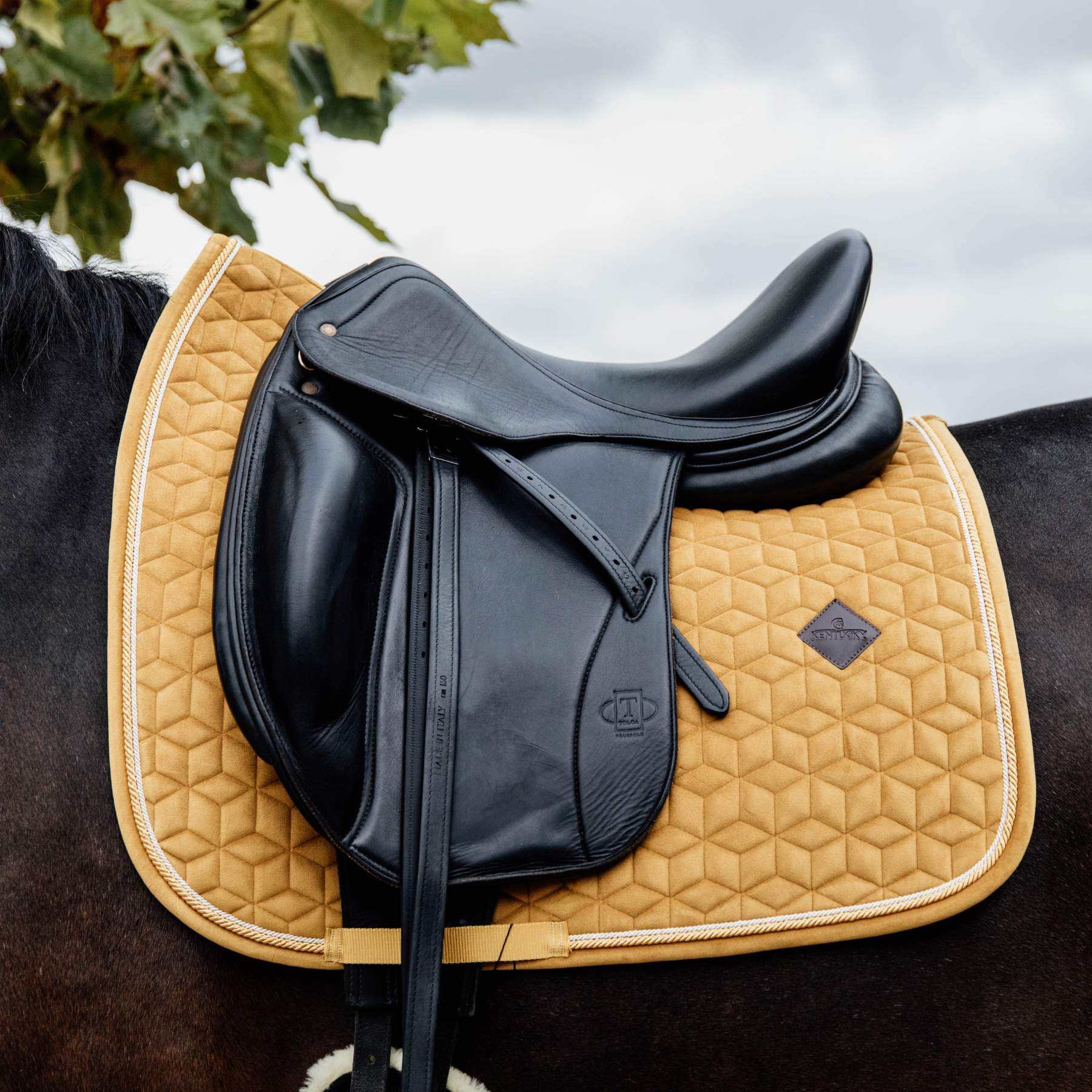 Kentucky Horsewear Saddle Pad Velvet Dressage Mustard Edition