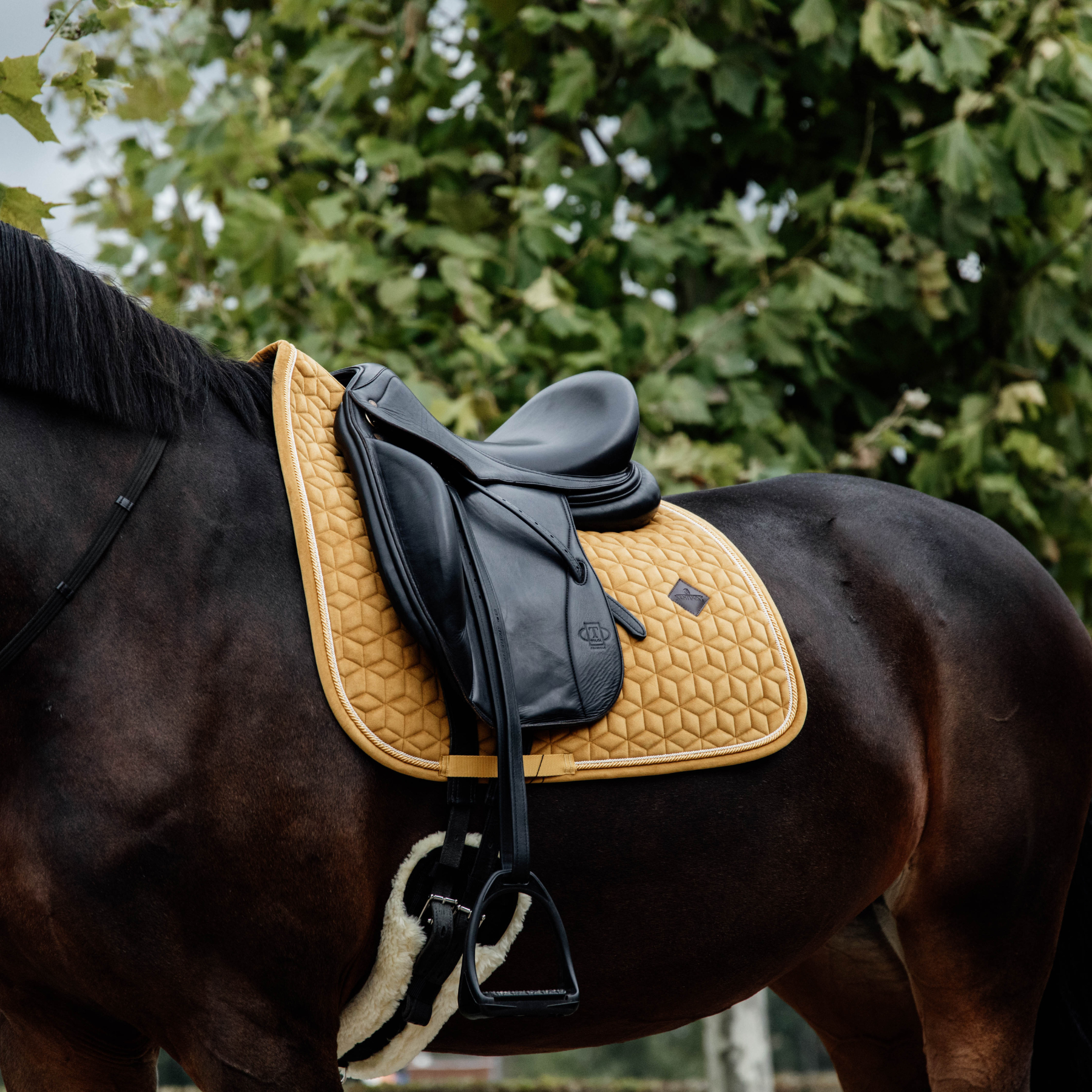 Kentucky Horsewear Saddle Pad Velvet Dressage Mustard Edition