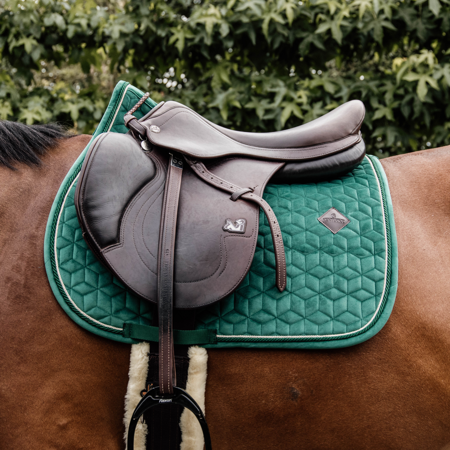 Kentucky Horsewear Saddle Pad Velvet Jumping Dark Green Edition