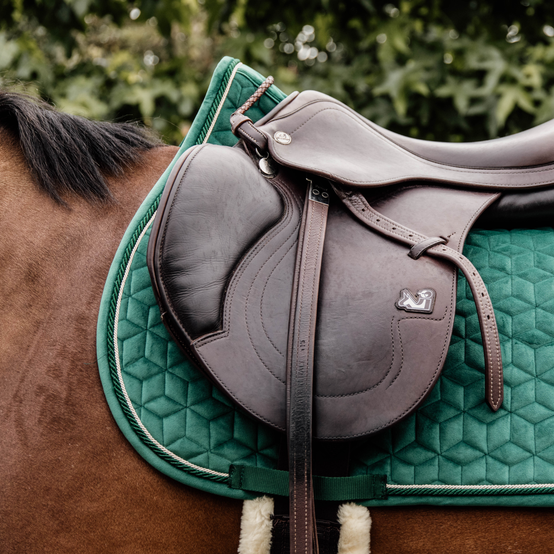 Kentucky Horsewear Saddle Pad Velvet Jumping Dark Green Edition