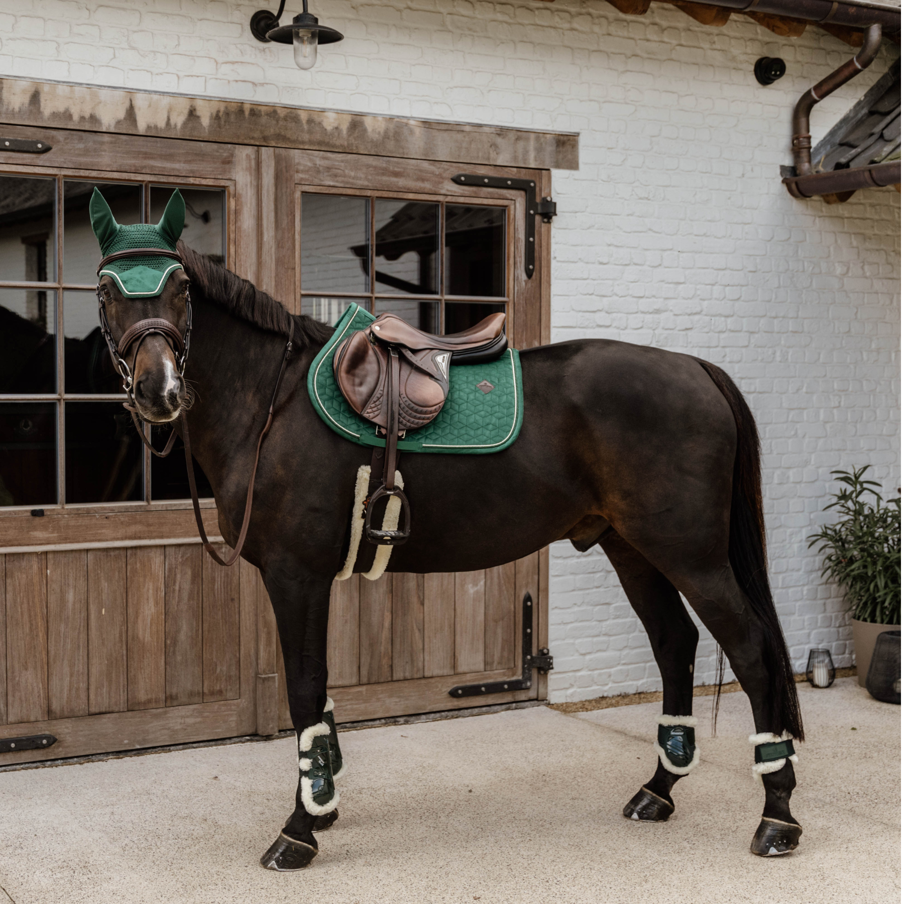 Kentucky Horsewear Saddle Pad Velvet Jumping Dark Green Edition