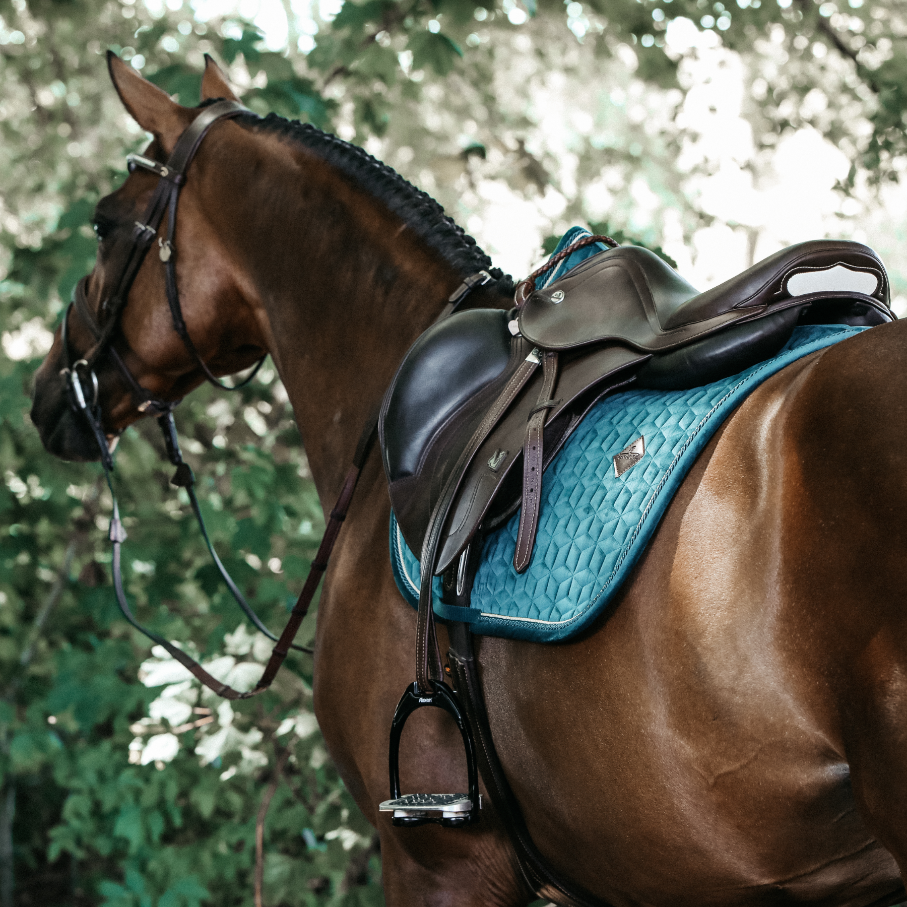 Kentucky Horsewear Saddle Pad Velvet Jumping Emerald Edition