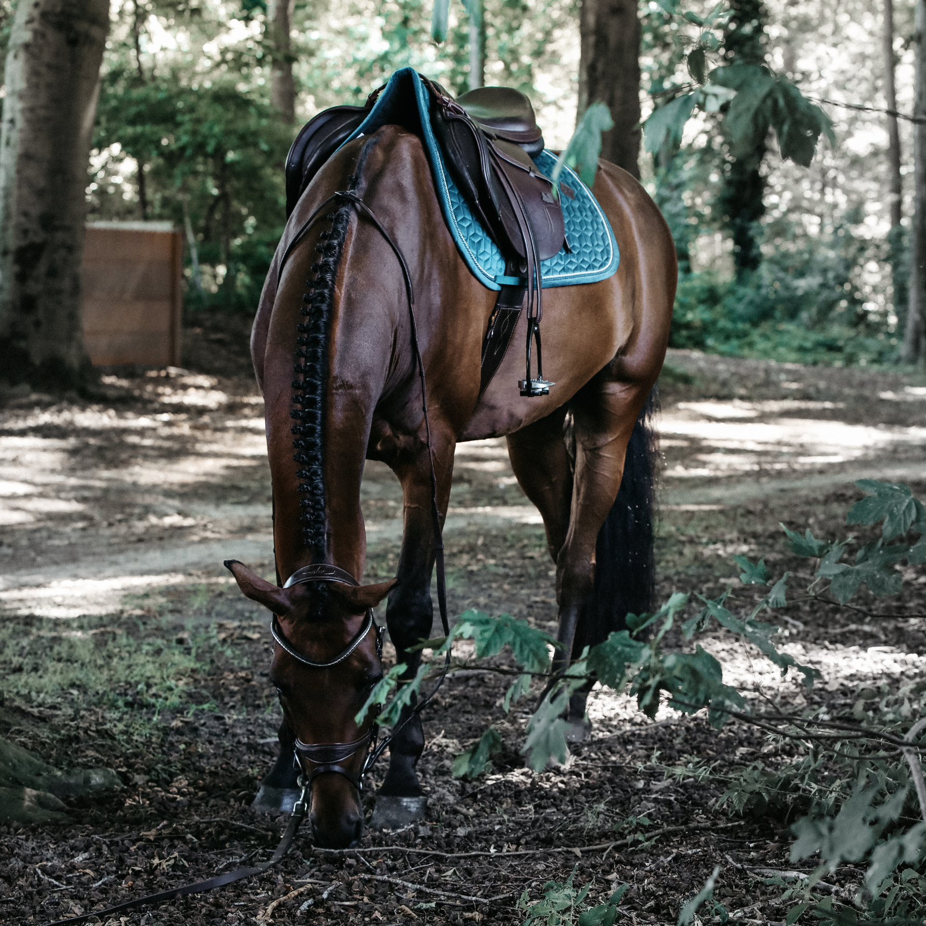 Kentucky Horsewear Saddle Pad Velvet Jumping Emerald Edition