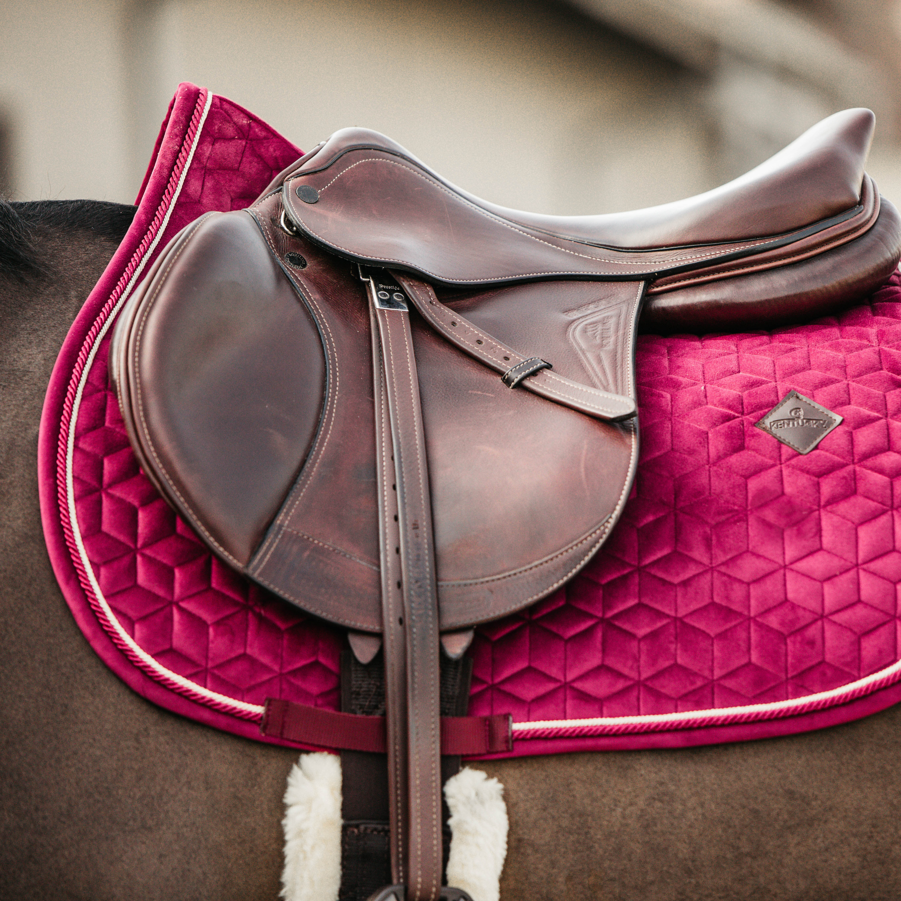 Kentucky Horsewear Saddle Pad Velvet Jumping Fuchsia Edition