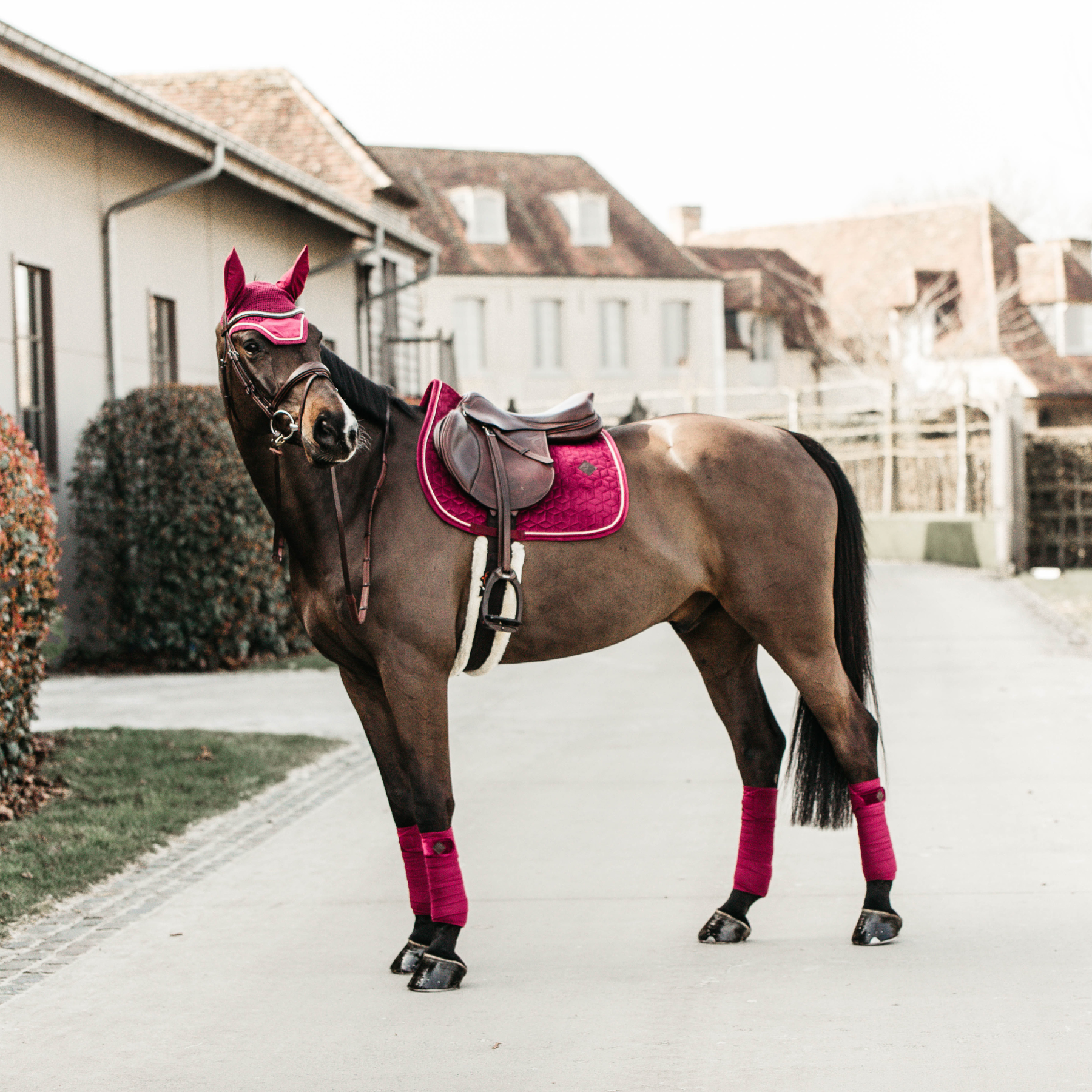 Kentucky Horsewear Saddle Pad Velvet Jumping Fuchsia Edition