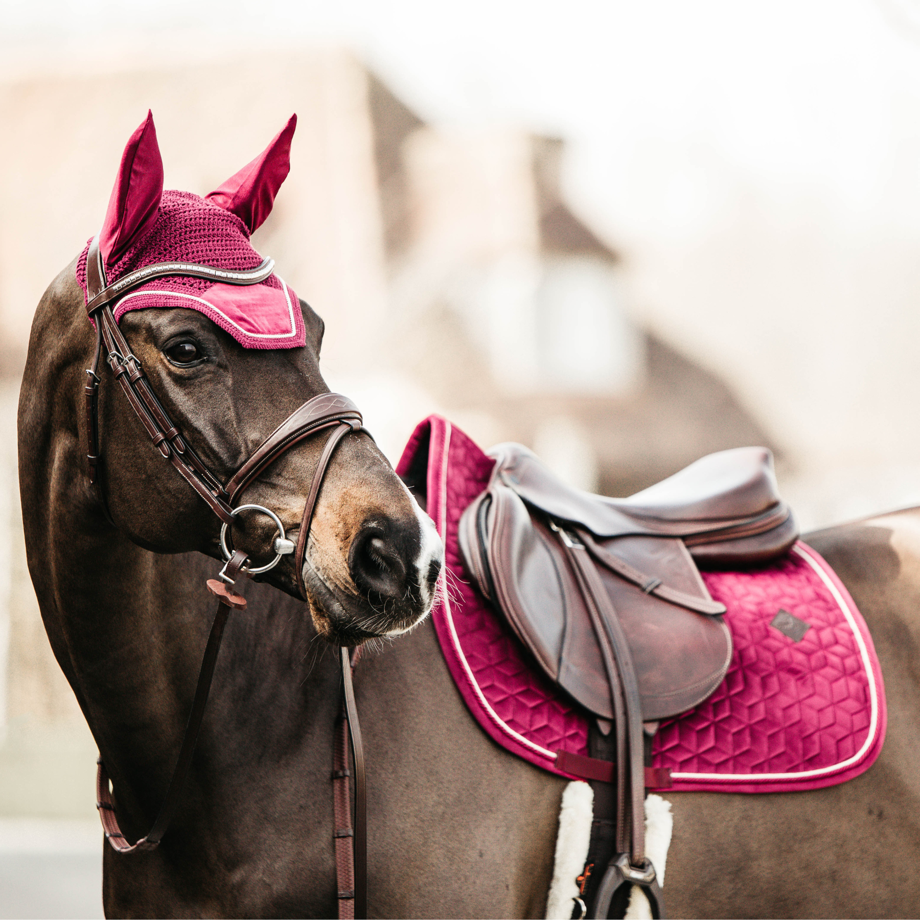 Kentucky Horsewear Saddle Pad Velvet Jumping Fuchsia Edition