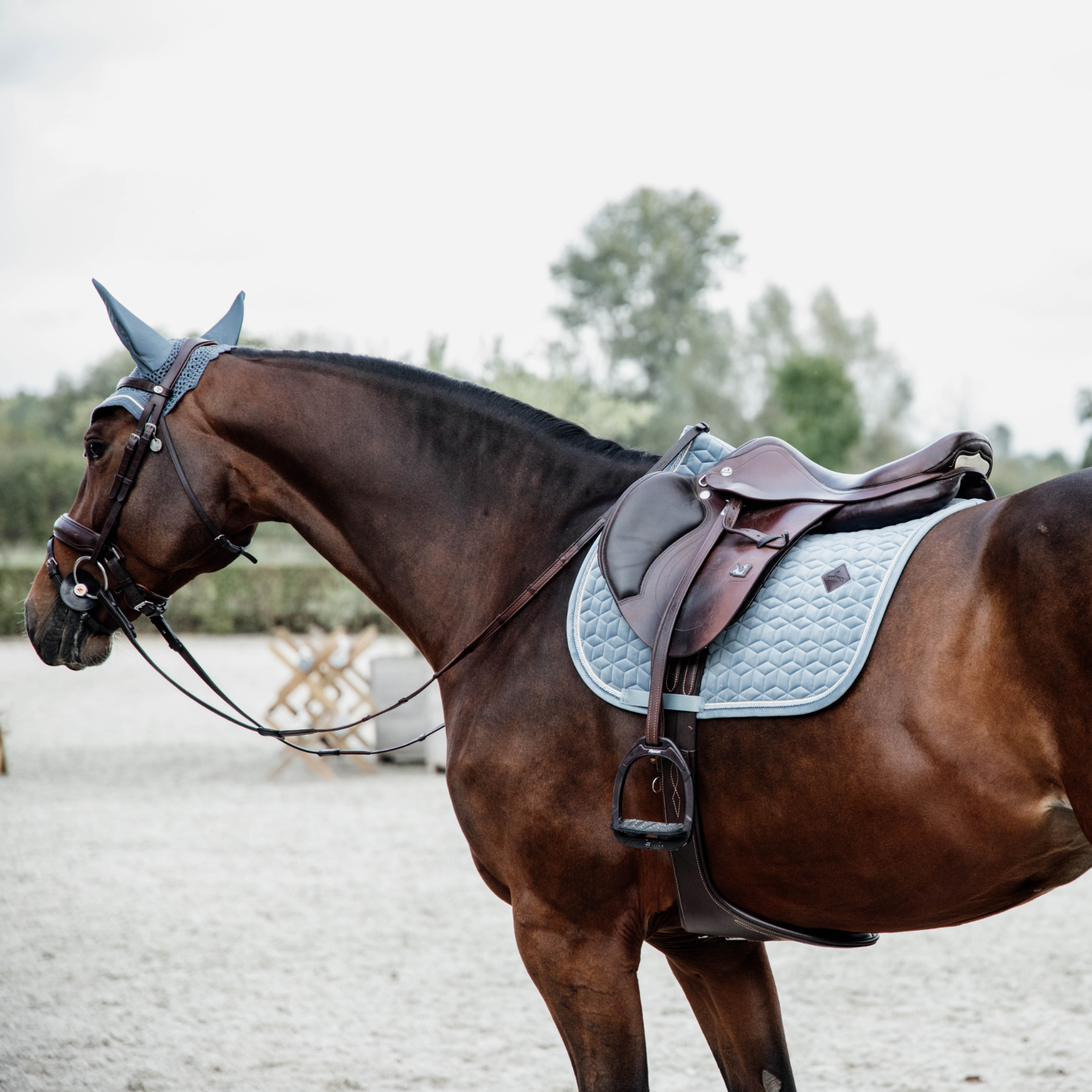 Kentucky Horsewear Saddle Pad Velvet Jumping Light Blue Edition