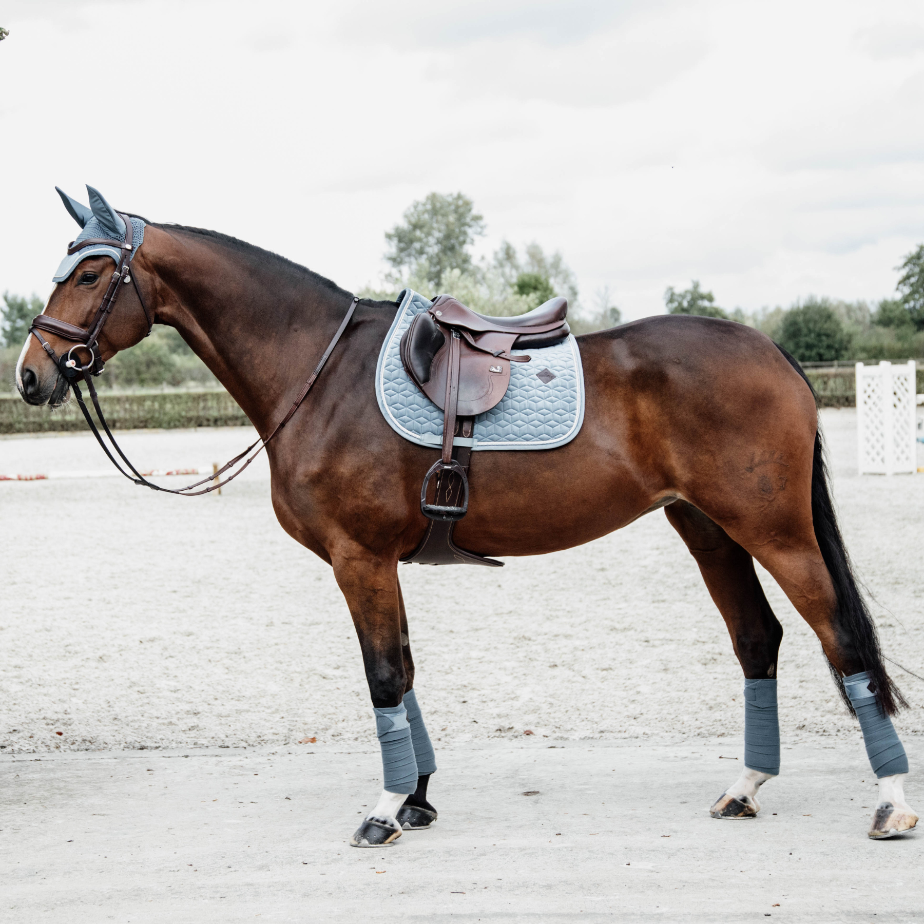 Kentucky Horsewear Saddle Pad Velvet Jumping Light Blue Edition