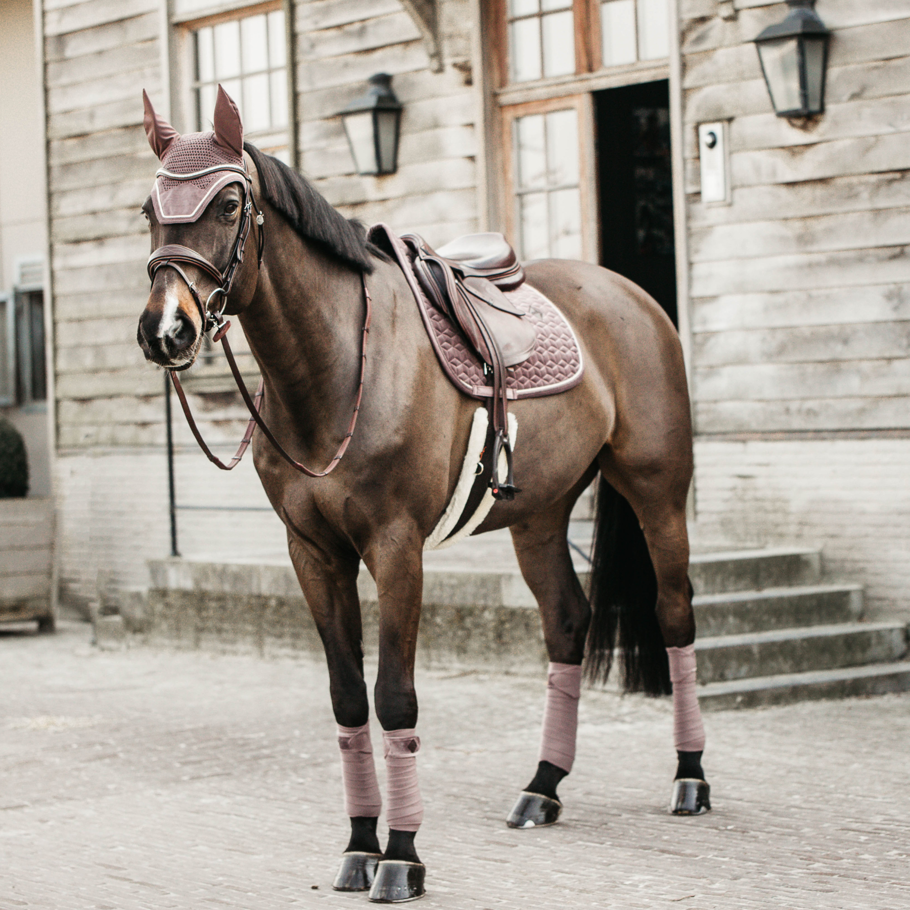 Kentucky Horsewear Saddle Pad Velvet Jumping Light Purple Edition