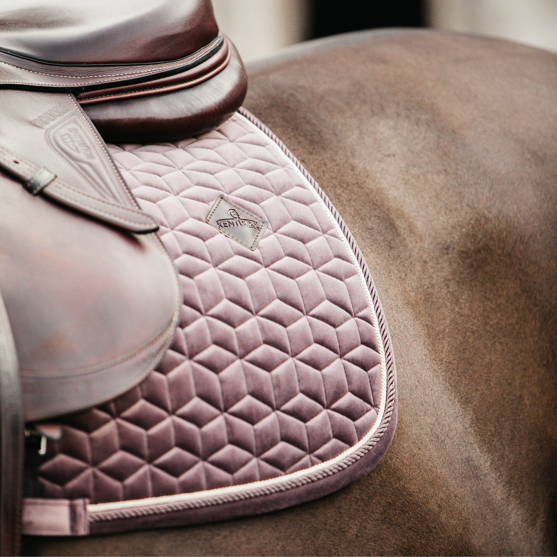 Kentucky Horsewear Saddle Pad Velvet Jumping Light Purple Edition