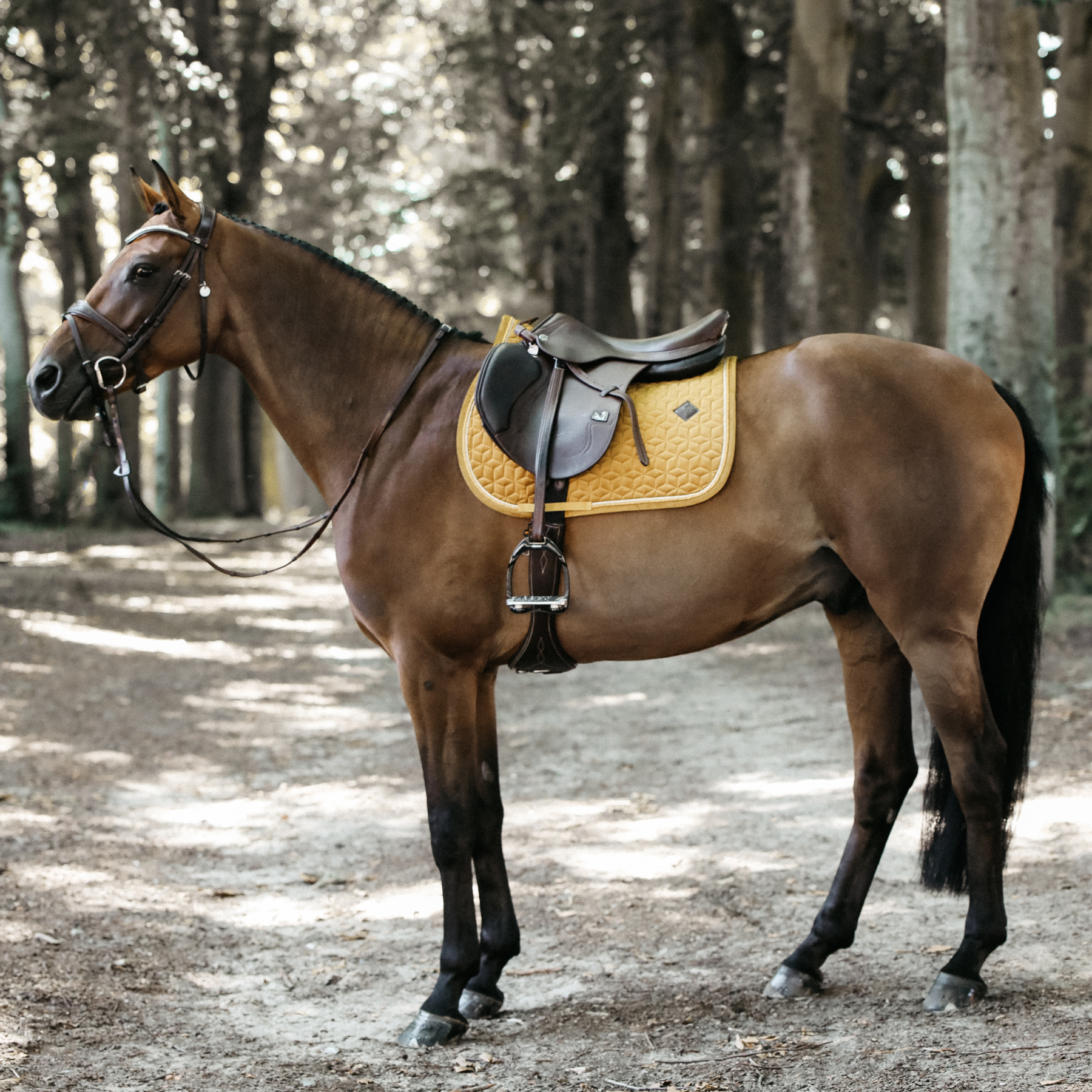 Kentucky Horsewear Saddle Pad Velvet Jumping Mustard Edition
