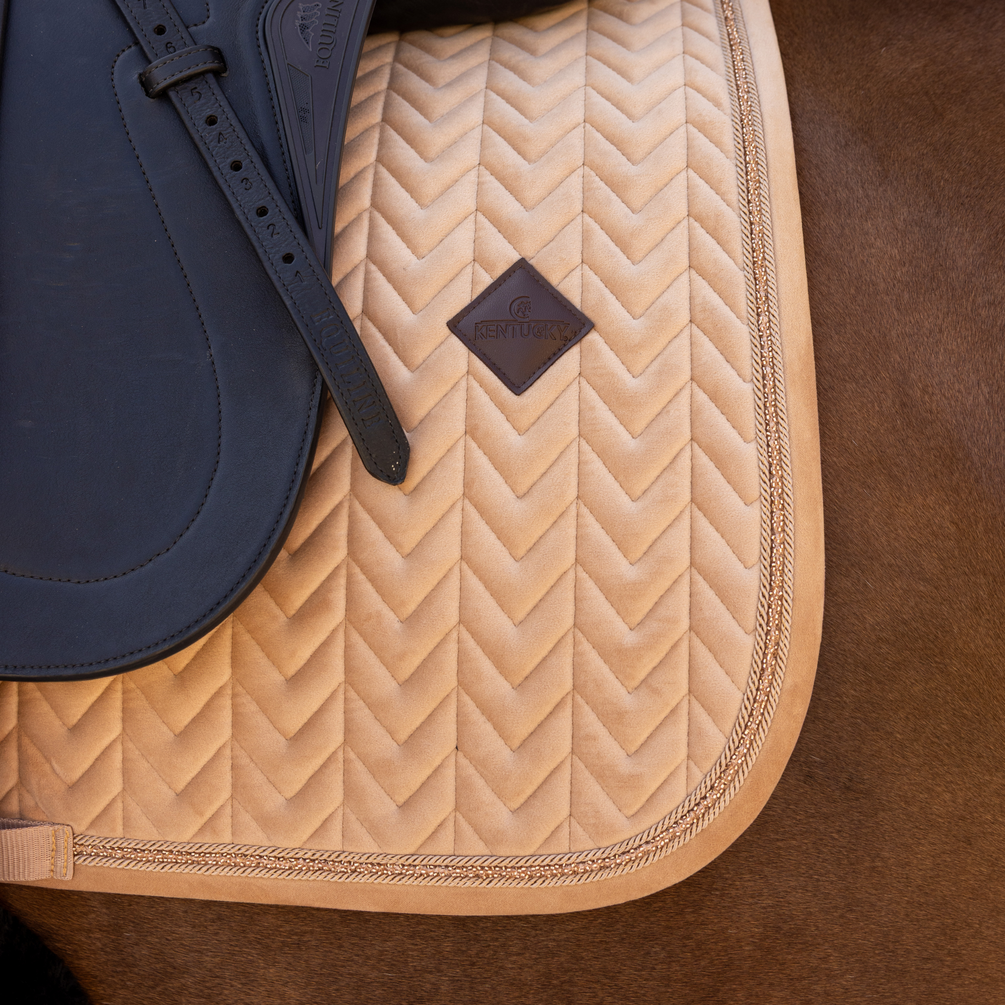 Kentucky Horsewear Saddle Pad Velvet Mini Pearls Dressage, Beige