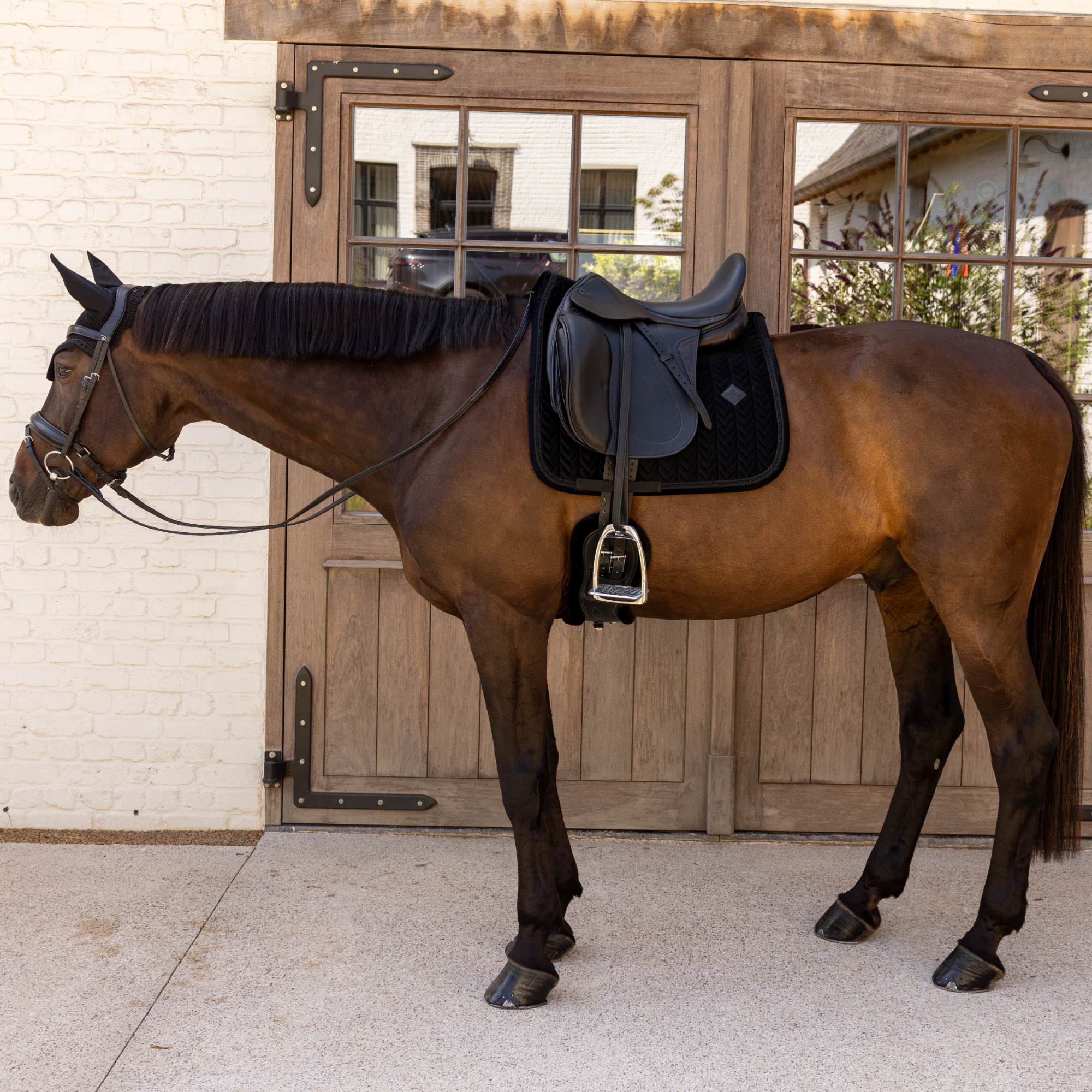 Kentucky Horsewear Saddle Pad Velvet Mini Pearls Dressage, Black