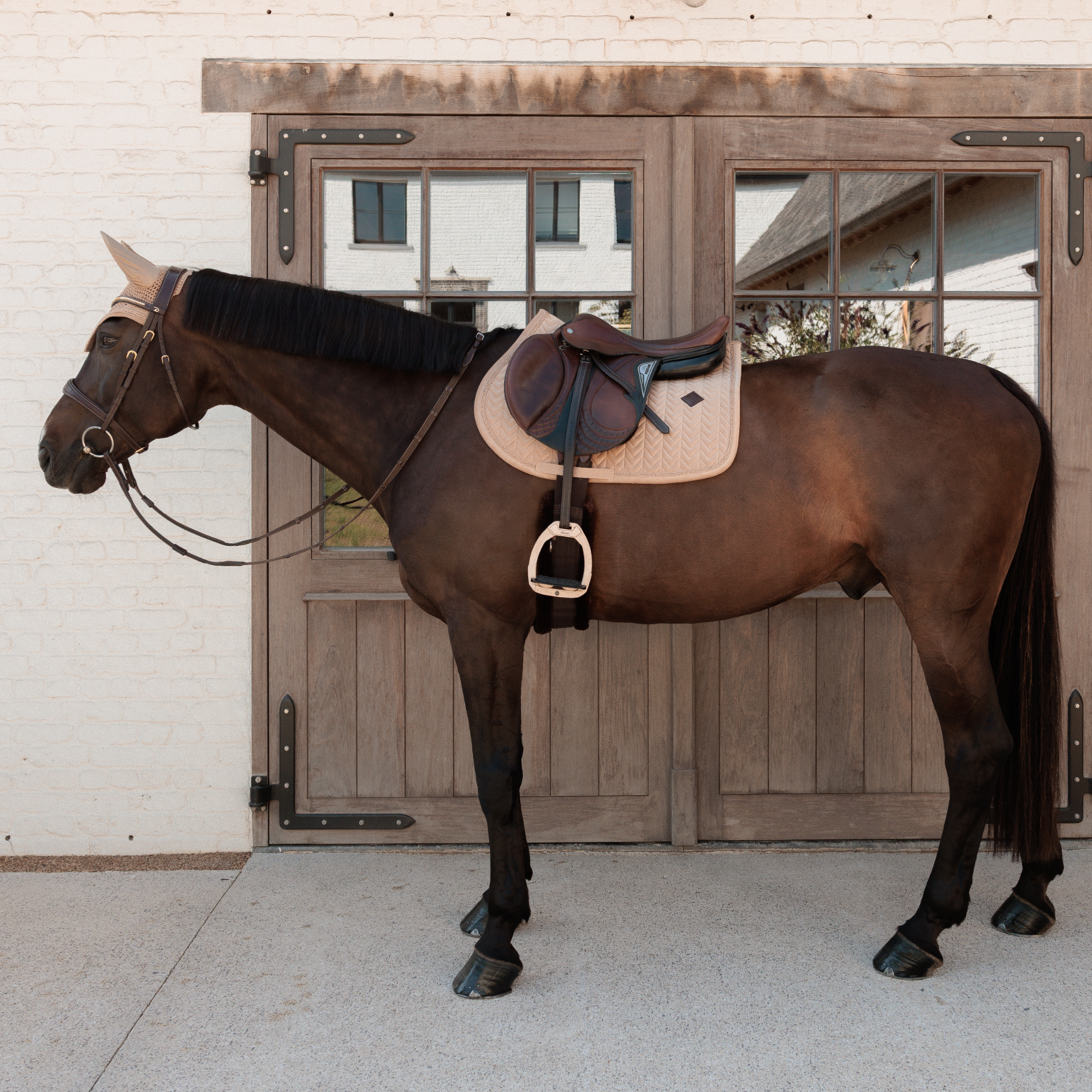 Kentucky Horsewear Saddle Pad Velvet Mini Pearls Jumping, Beige