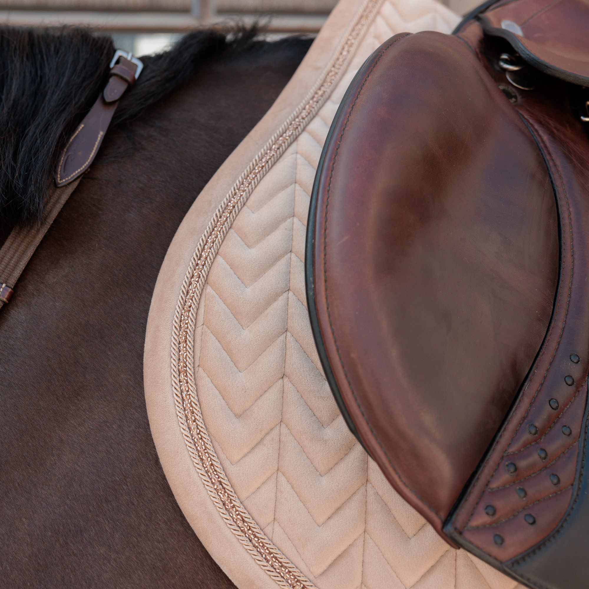 Kentucky Horsewear Saddle Pad Velvet Mini Pearls Jumping, Beige