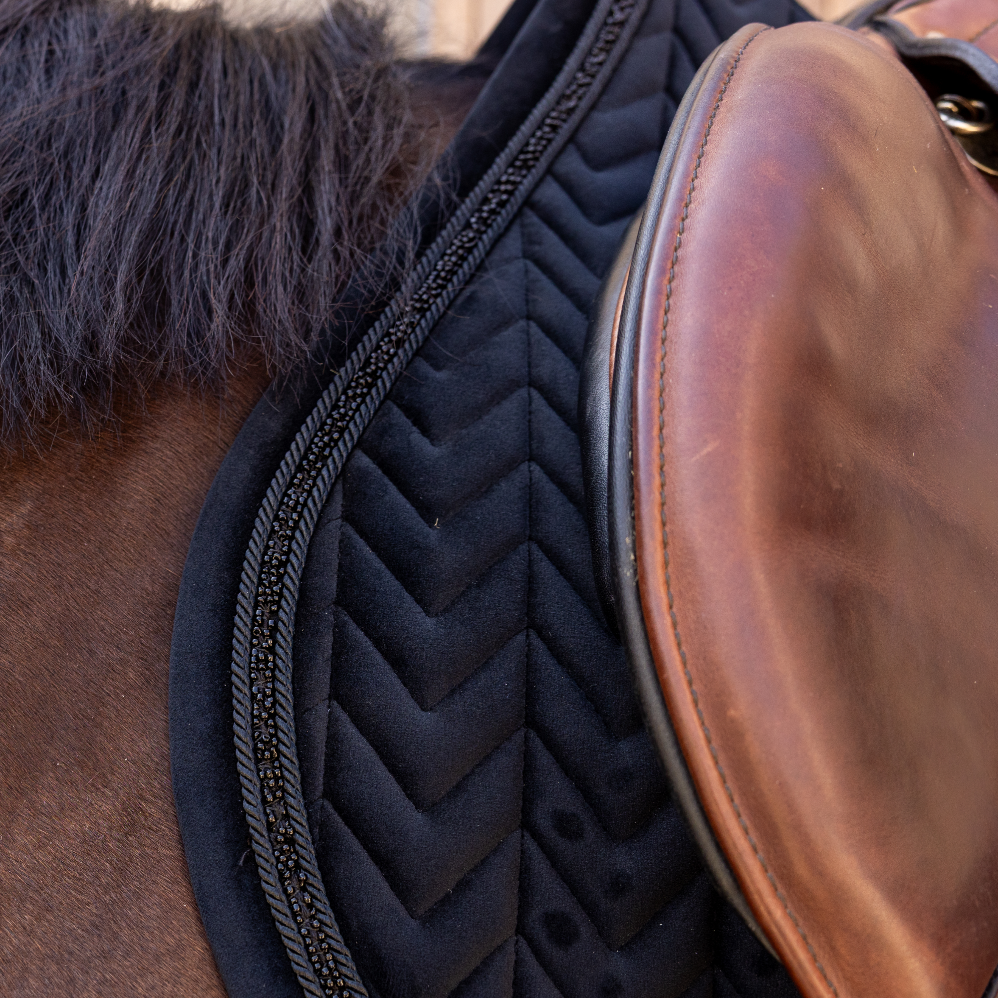 Kentucky Horsewear Saddle Pad Velvet Mini Pearls Jumping, Black