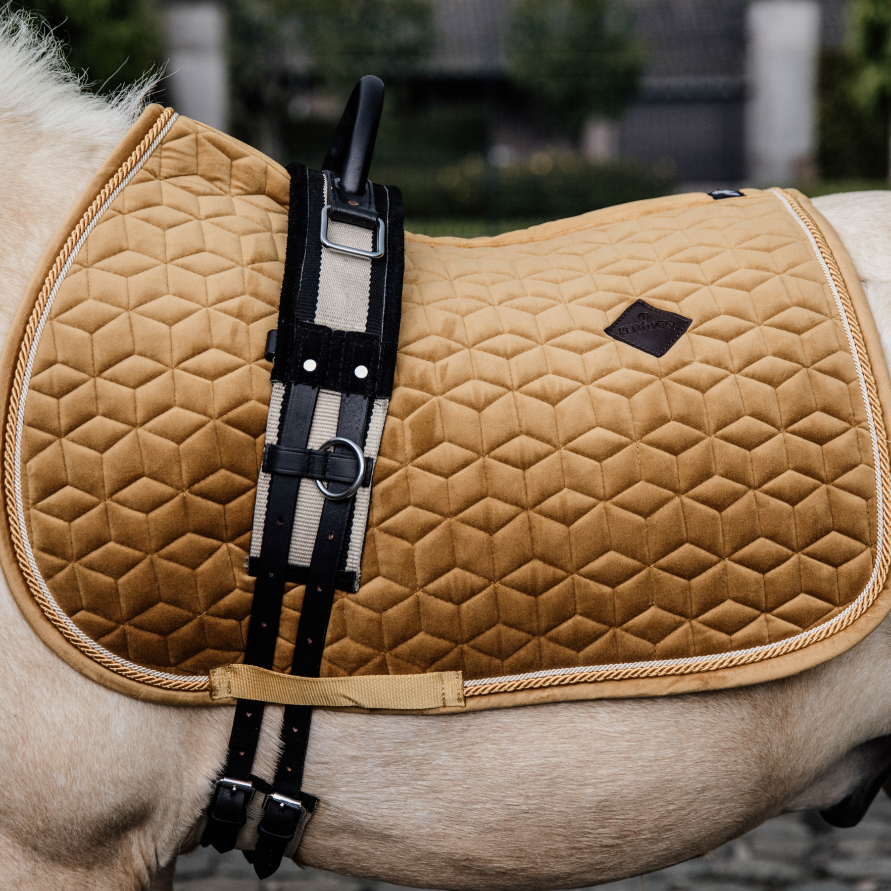 Kentucky Horsewear Saddle Pad Velvet, Pony