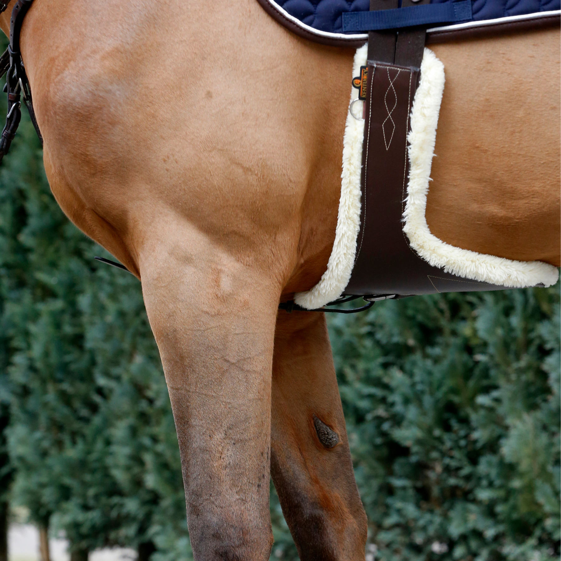 Kentucky Horsewear Sheepskin Stud Girth
