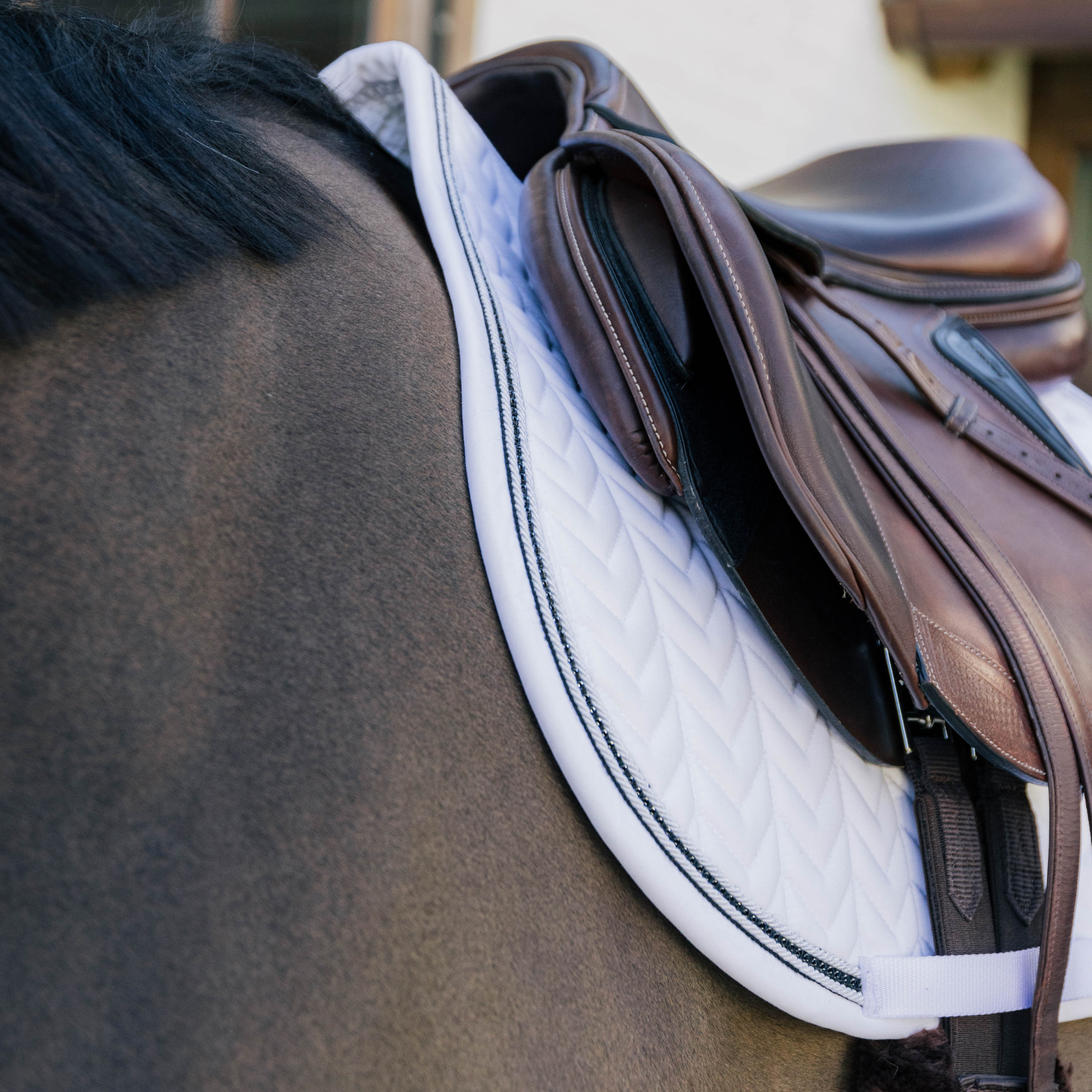 Kentucky Horsewear Show Jumping Saddle Pad with Metal Chain, White