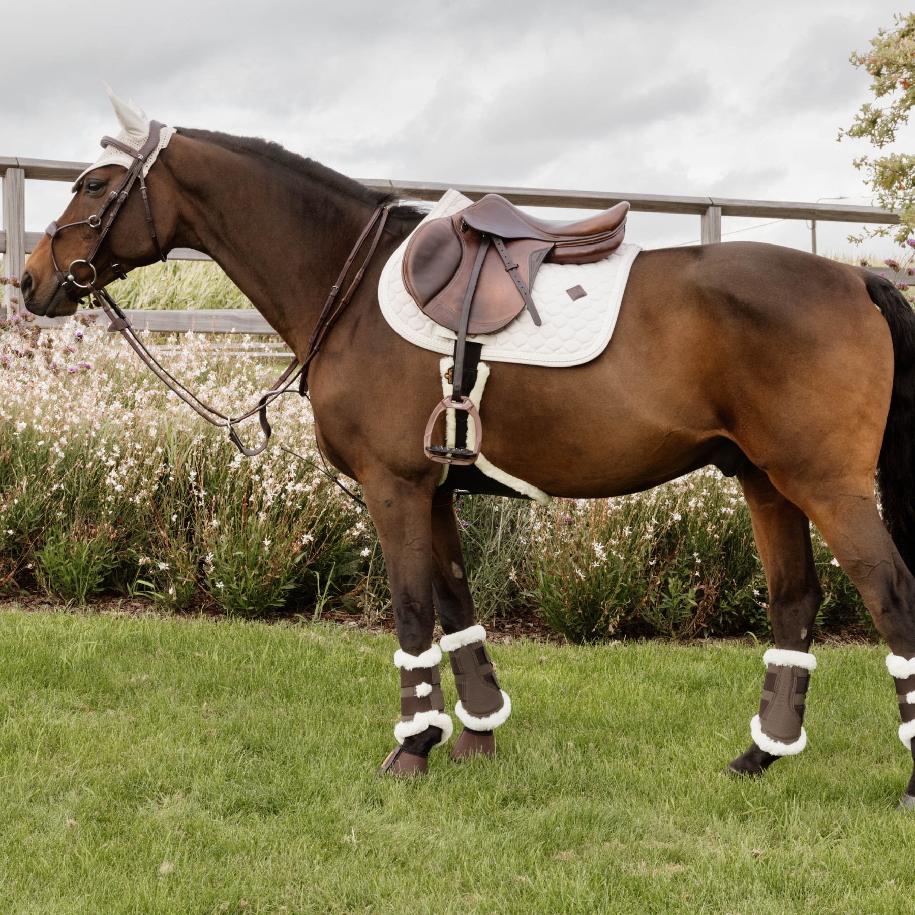 Kentucky Horsewear Show Jumping Saddle Pad with Plaited Cord, Beige