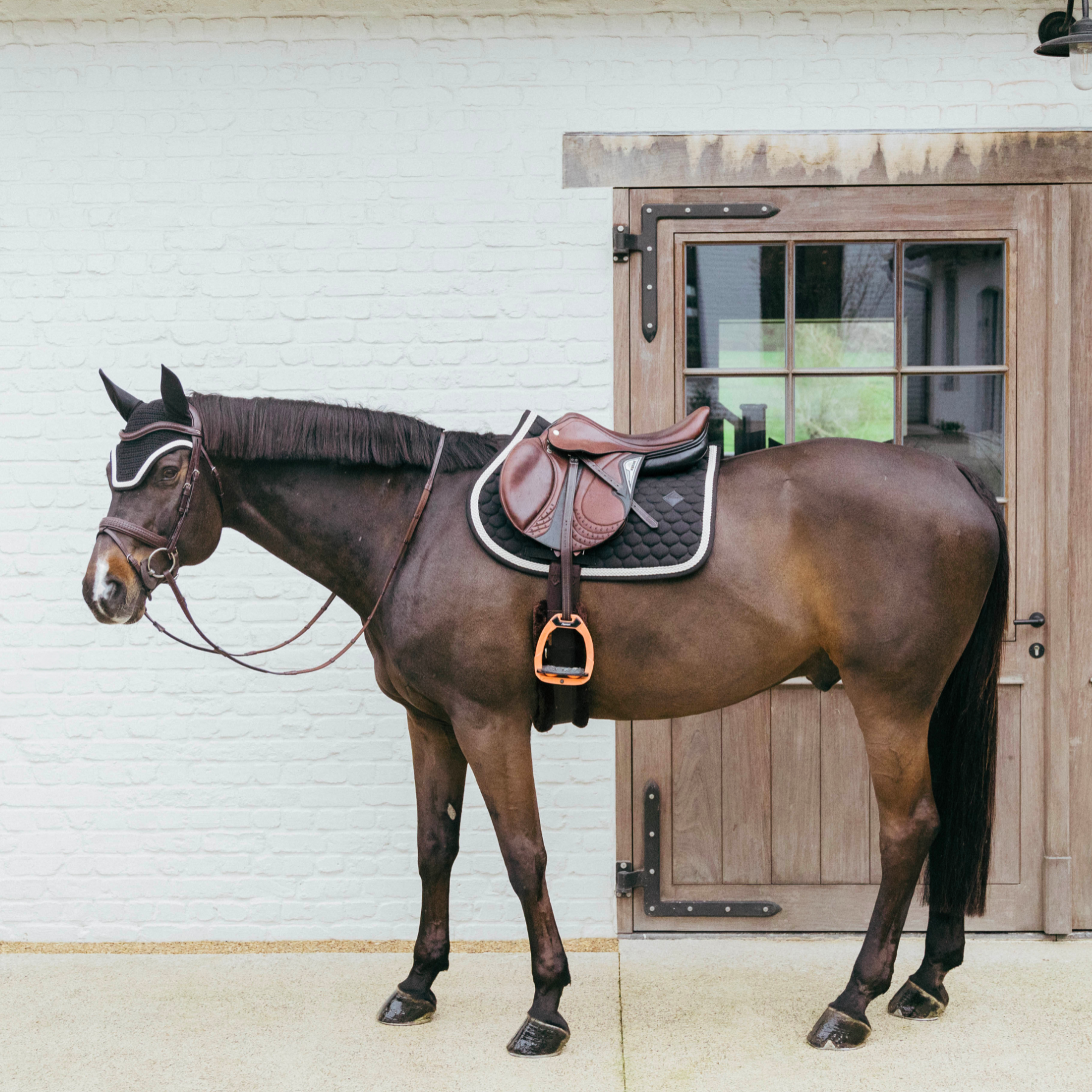 Kentucky Horsewear Show Jumping Saddle Pad with Plaited Cord, Black