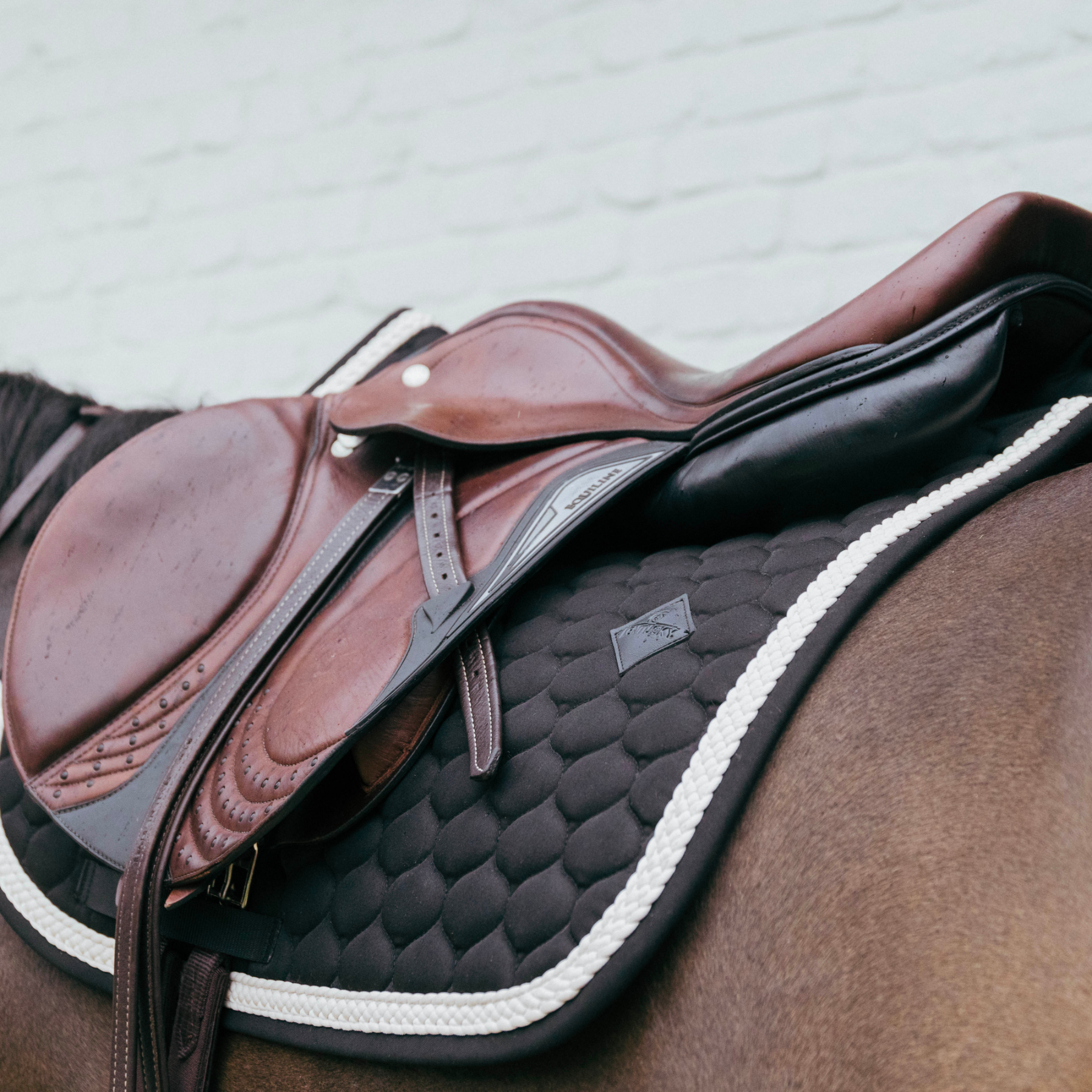 Kentucky Horsewear Show Jumping Saddle Pad with Plaited Cord, Black