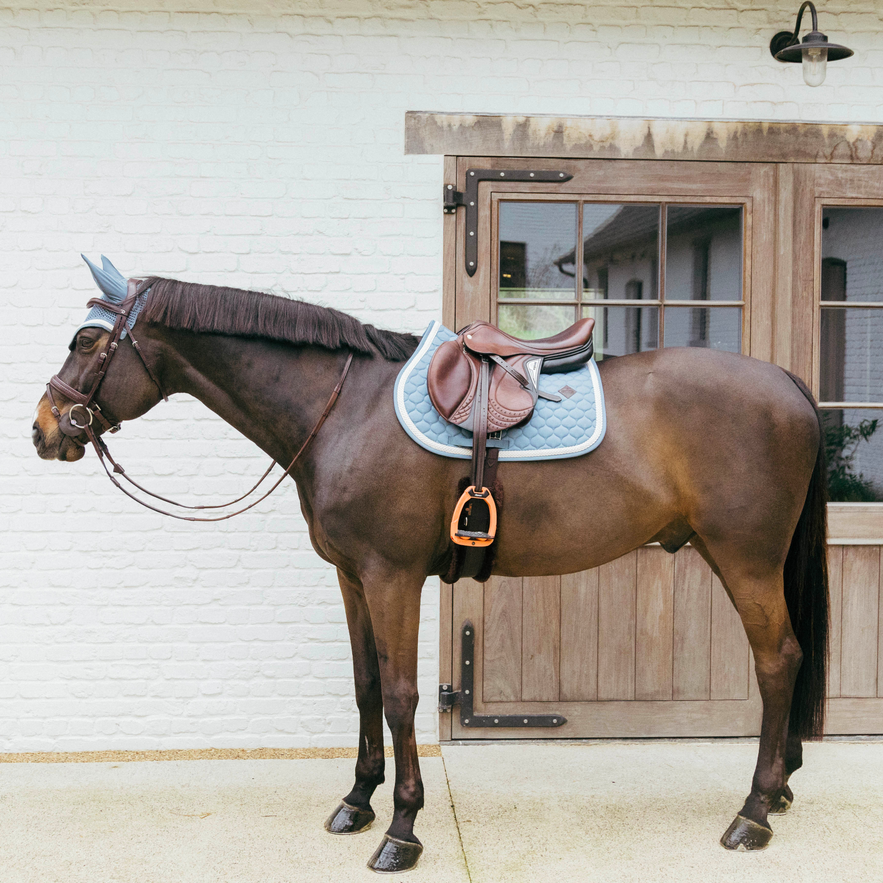 Kentucky Horsewear Show Jumping Saddle Pad with Plaited Cord, Light Blue