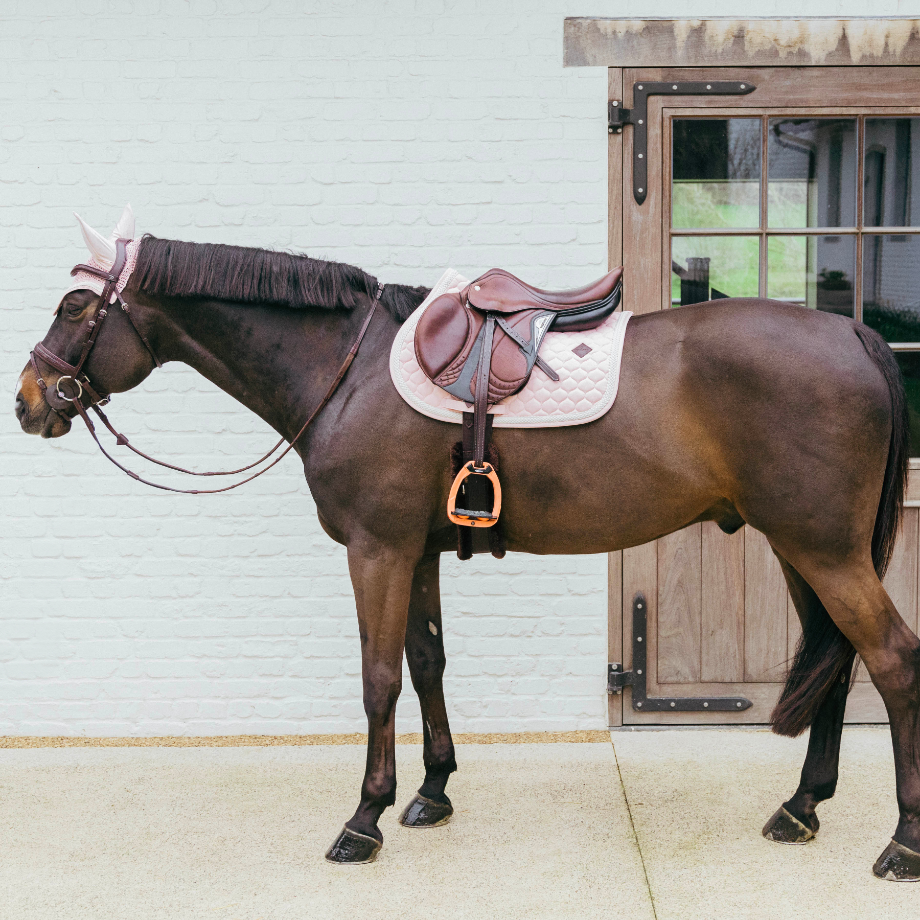 Kentucky Horsewear Show Jumping Saddle Pad with Plaited Cord, Soft Rose