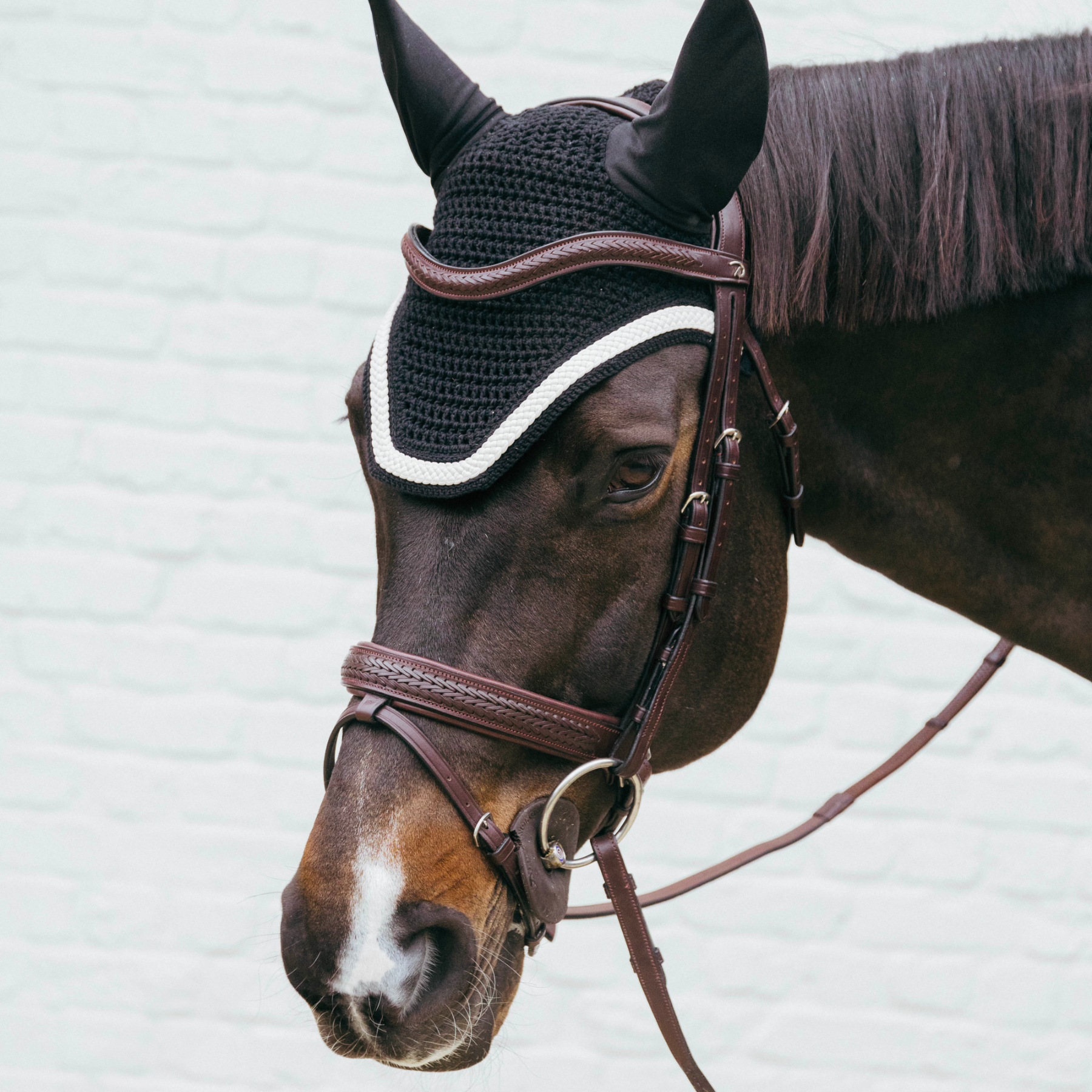 Kentucky Horsewear Soundless Fly Veil Wellington with Plaited Cord, Black