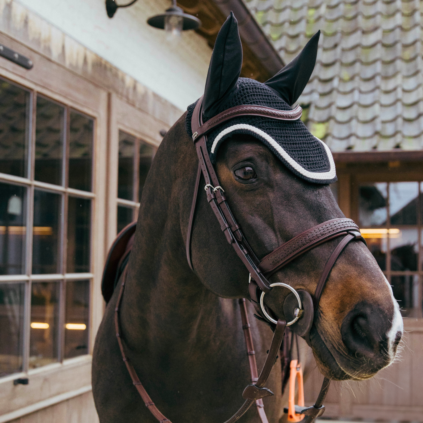 Kentucky Horsewear Soundless Fly Veil Wellington with Plaited Cord, Black