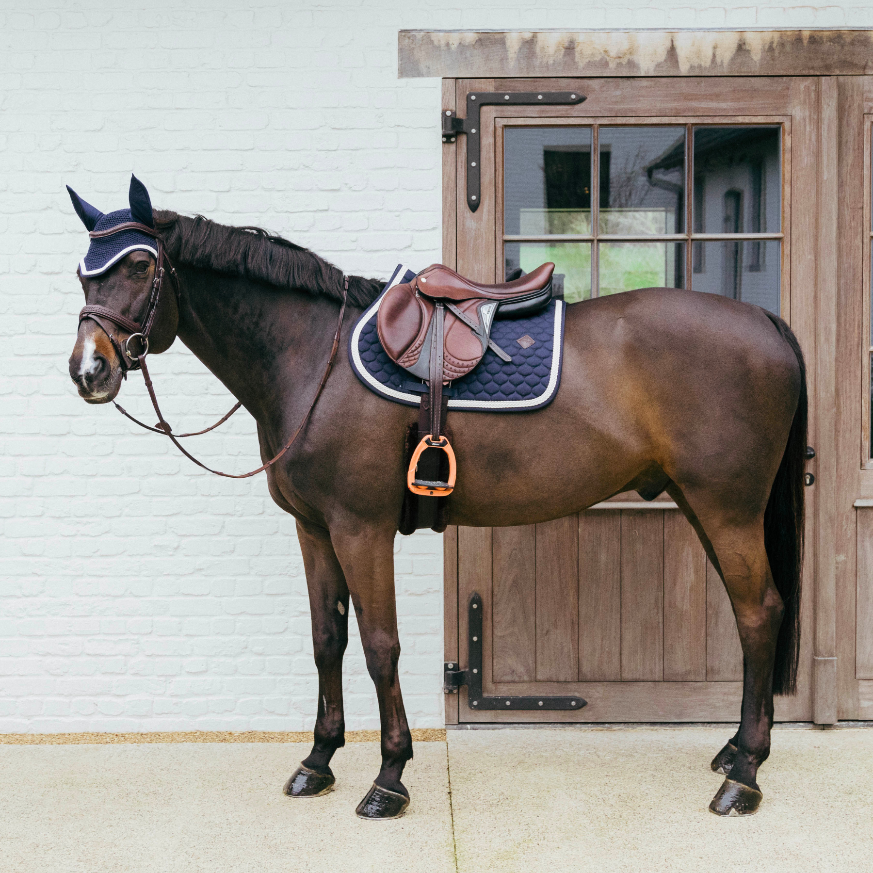 Kentucky Horsewear Soundless Fly Veil Wellington with Plaited Cord, Navy