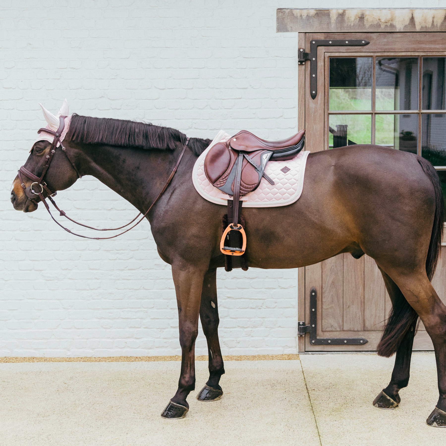 Kentucky Horsewear Soundless Fly Veil Wellington with Plaited Cord, Soft Rose
