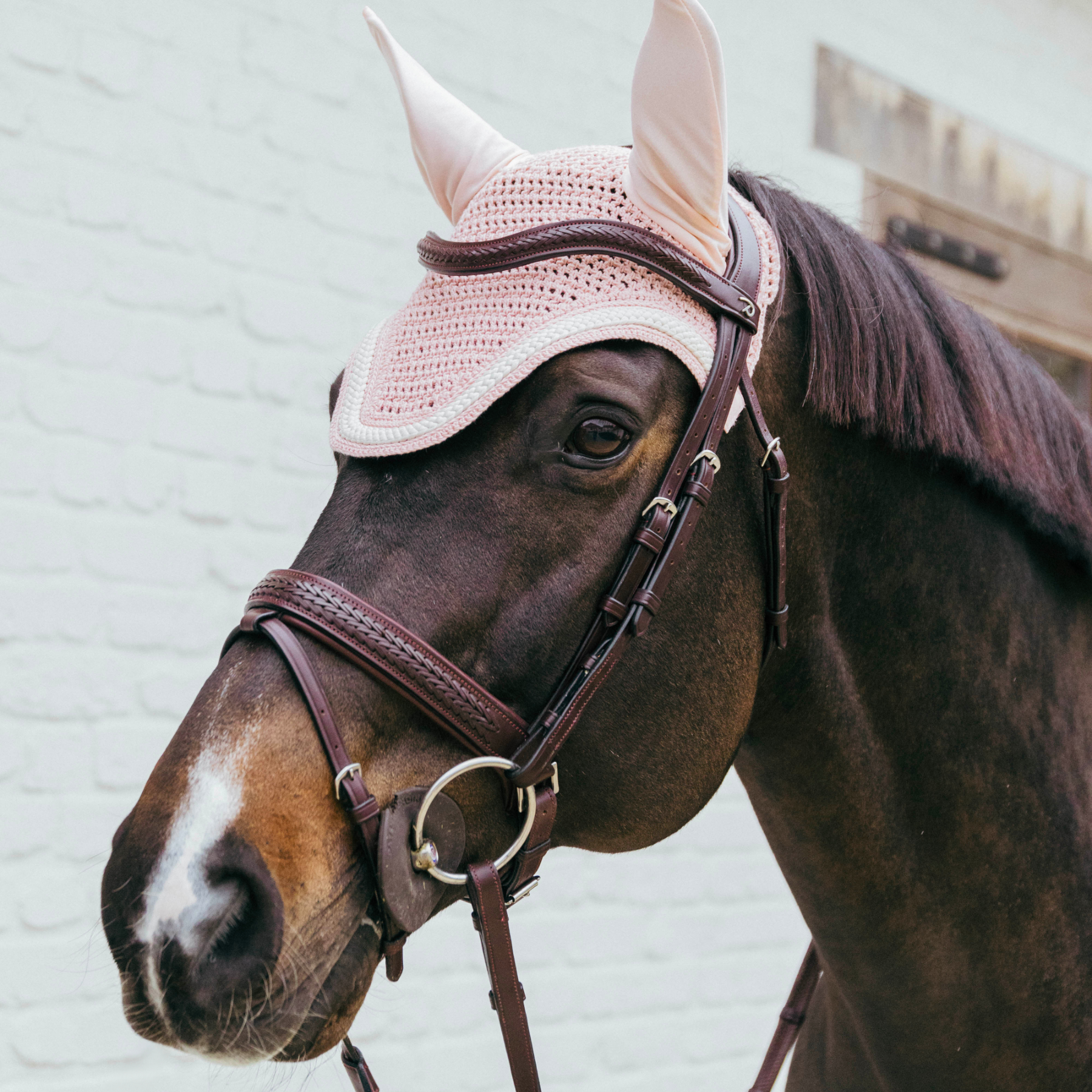 Kentucky Horsewear Soundless Fly Veil Wellington with Plaited Cord, Soft Rose