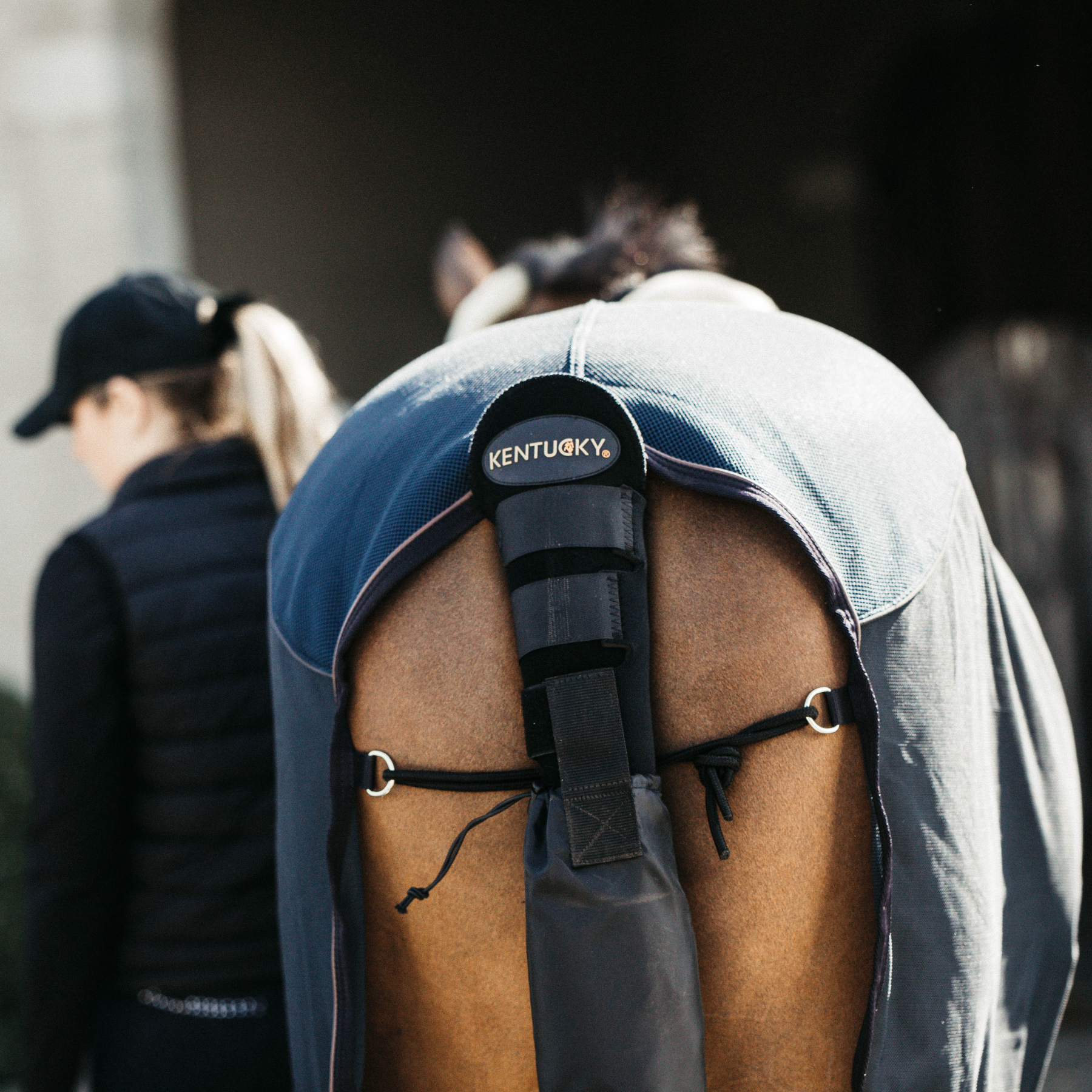 Kentucky Horsewear Tail Guard & Tail Bag
