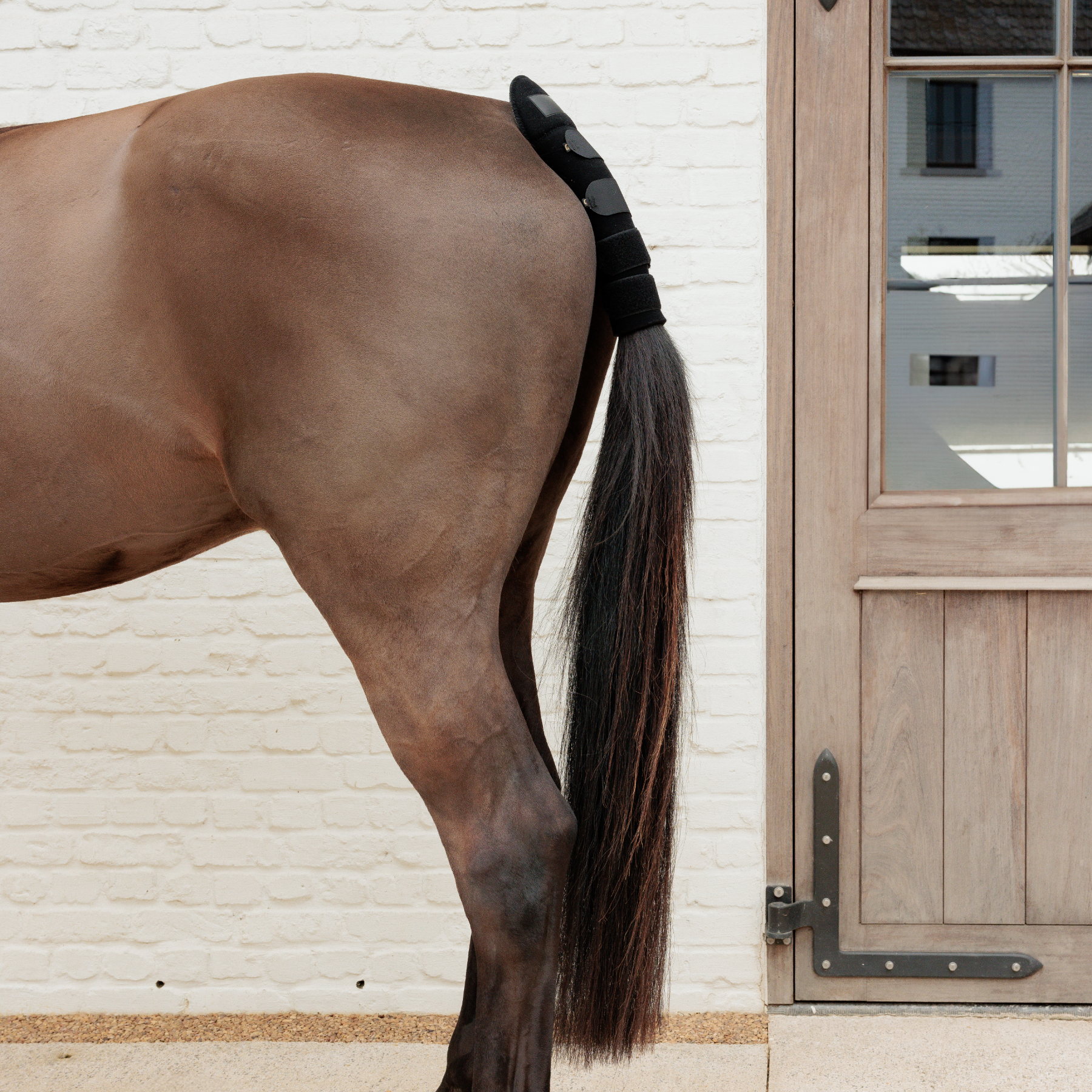 Kentucky Horsewear Tail Guard & Tail Bag