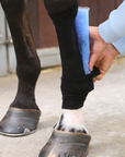Kentucky Horsewear Tendon Grip Sock, Black