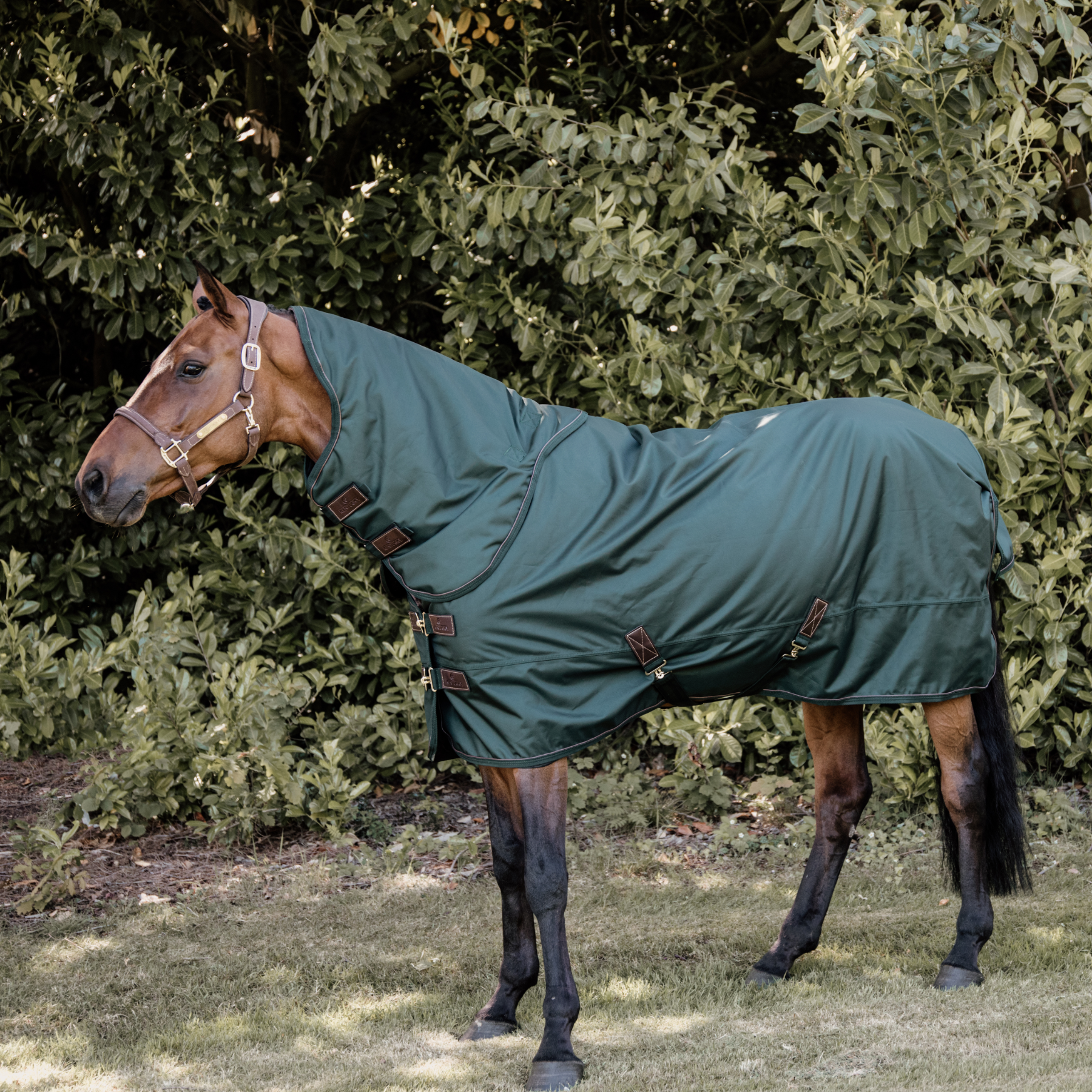 Kentucky Horsewear Turnout Rug All Weather Waterproof Pro 160G, Dark Green
