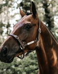 Kentucky Horsewear Vegan Leather Halter Flexible