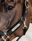 Kentucky Horsewear Velvet Halter, Black