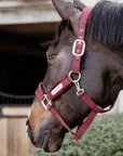 Kentucky Horsewear Velvet Halter, Bordeaux