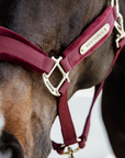 Kentucky Horsewear Velvet Halter, Bordeaux