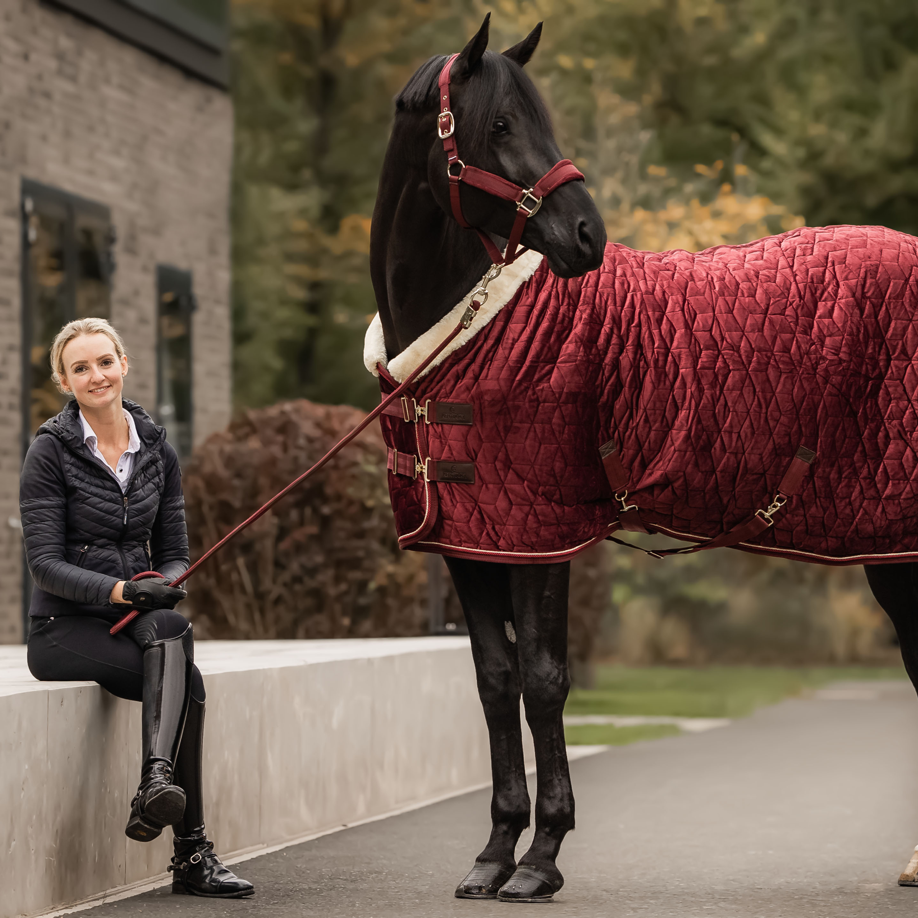 Kentucky Horsewear Velvet Halter, Bordeaux
