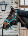 Kentucky Horsewear Velvet Halter, Emerald