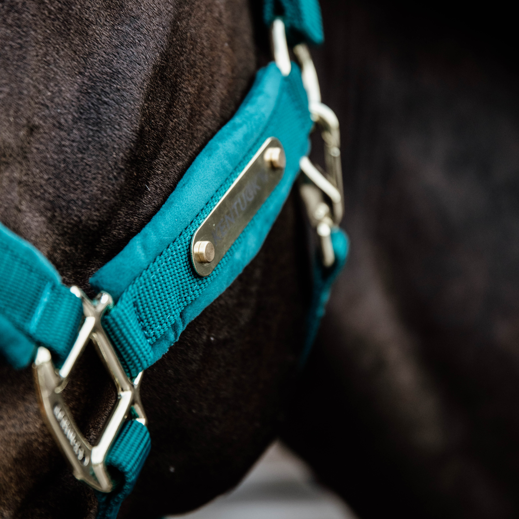 Kentucky Horsewear Velvet Halter, Emerald