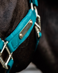 Kentucky Horsewear Velvet Halter, Emerald