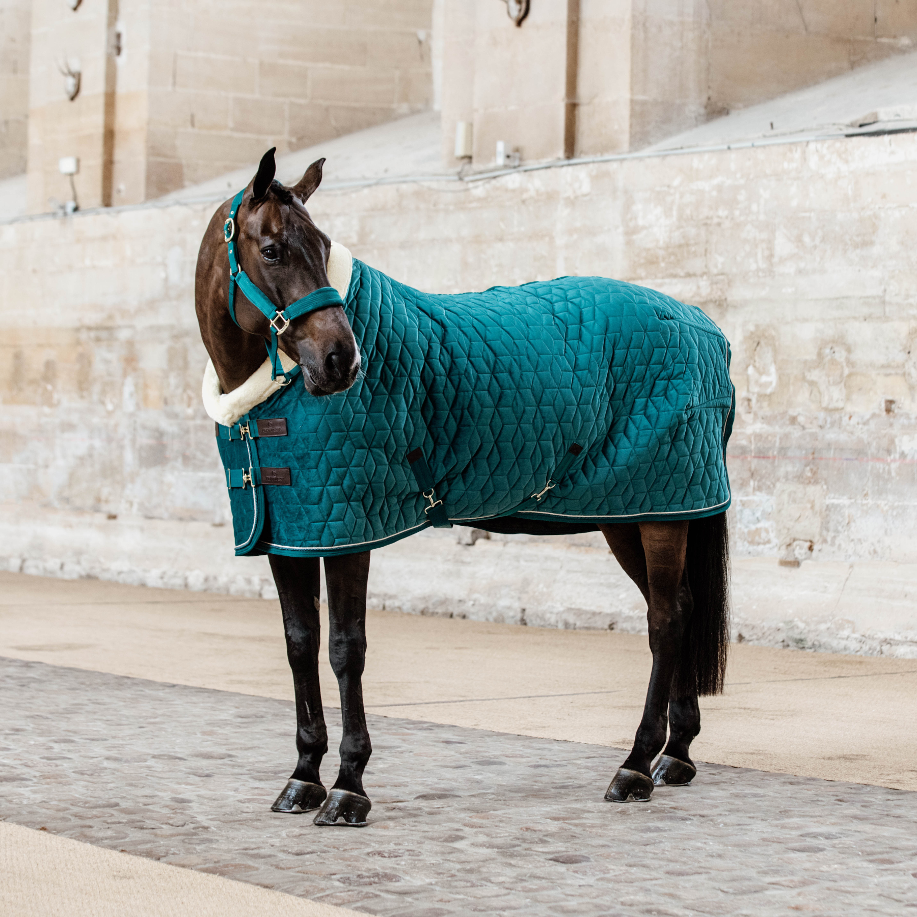 Kentucky Horsewear Velvet Halter, Emerald