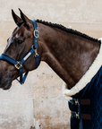 Kentucky Horsewear Velvet Halter, Navy