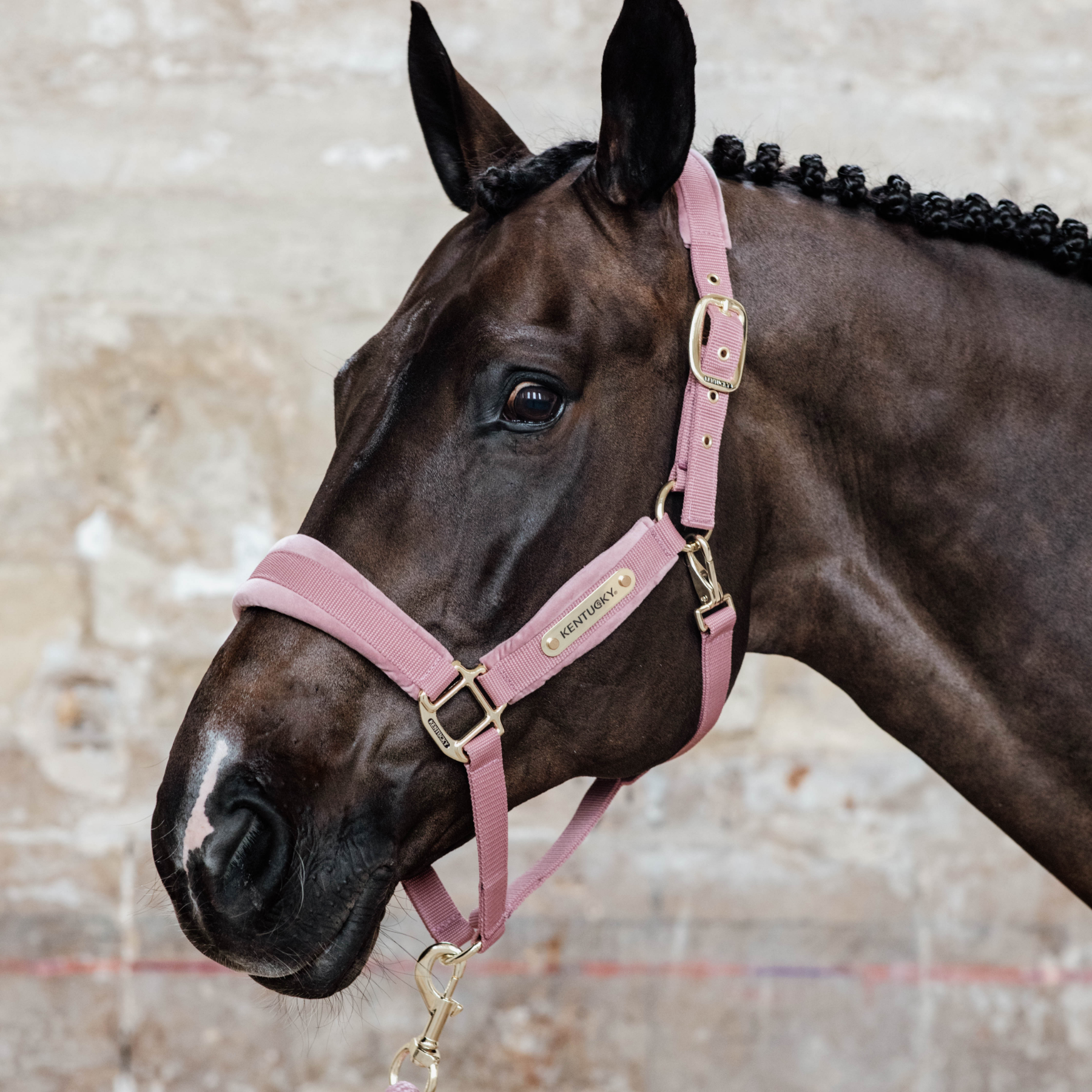Kentucky Horsewear Velvet Halter, Old Rose