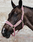 Kentucky Horsewear Velvet Halter, Old Rose