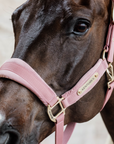 Kentucky Horsewear Velvet Halter, Old Rose